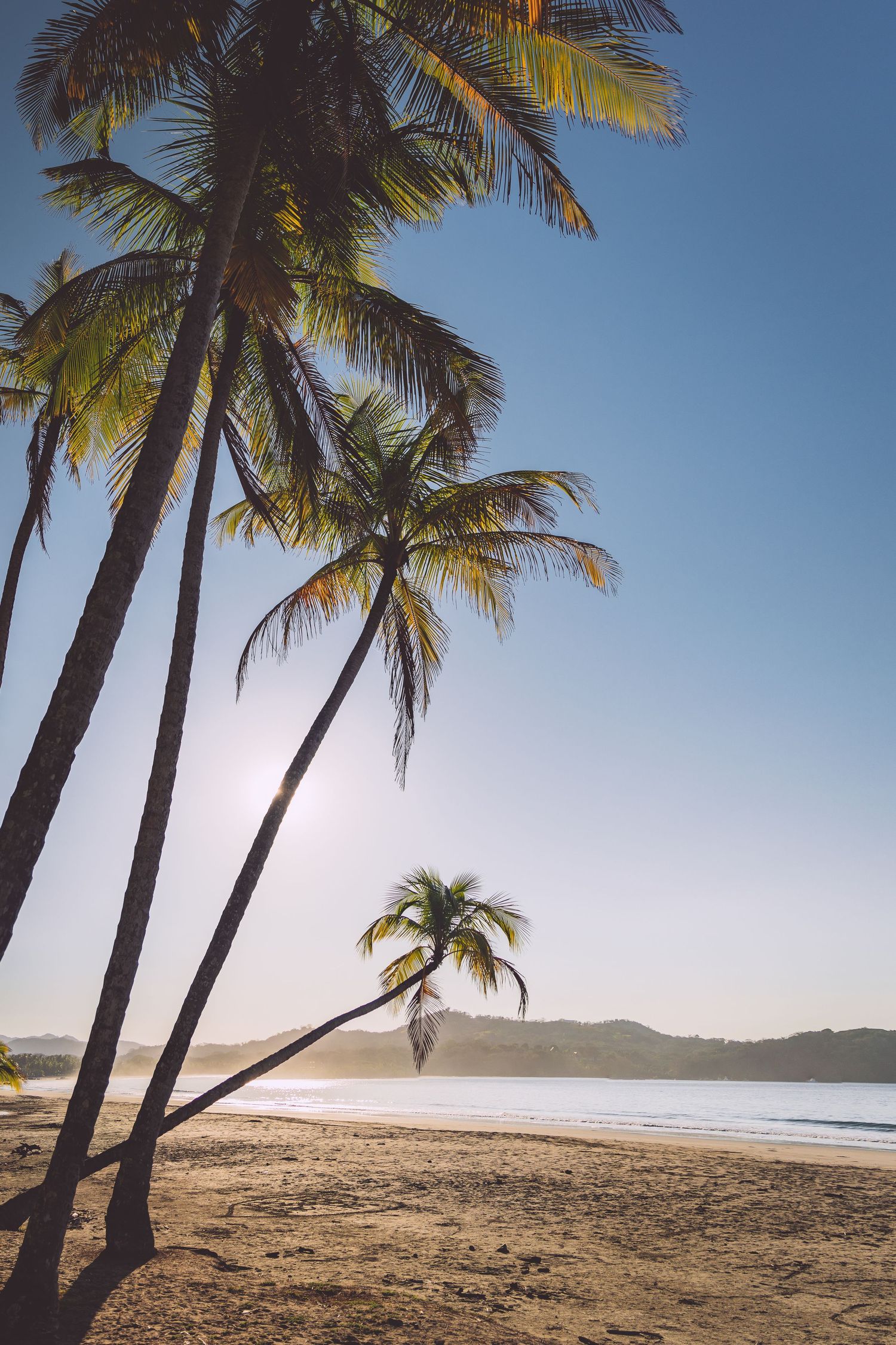 Palm trees sway over a pristine tropical beach with mountains in the distance under bright blue skies in Costa Rica.