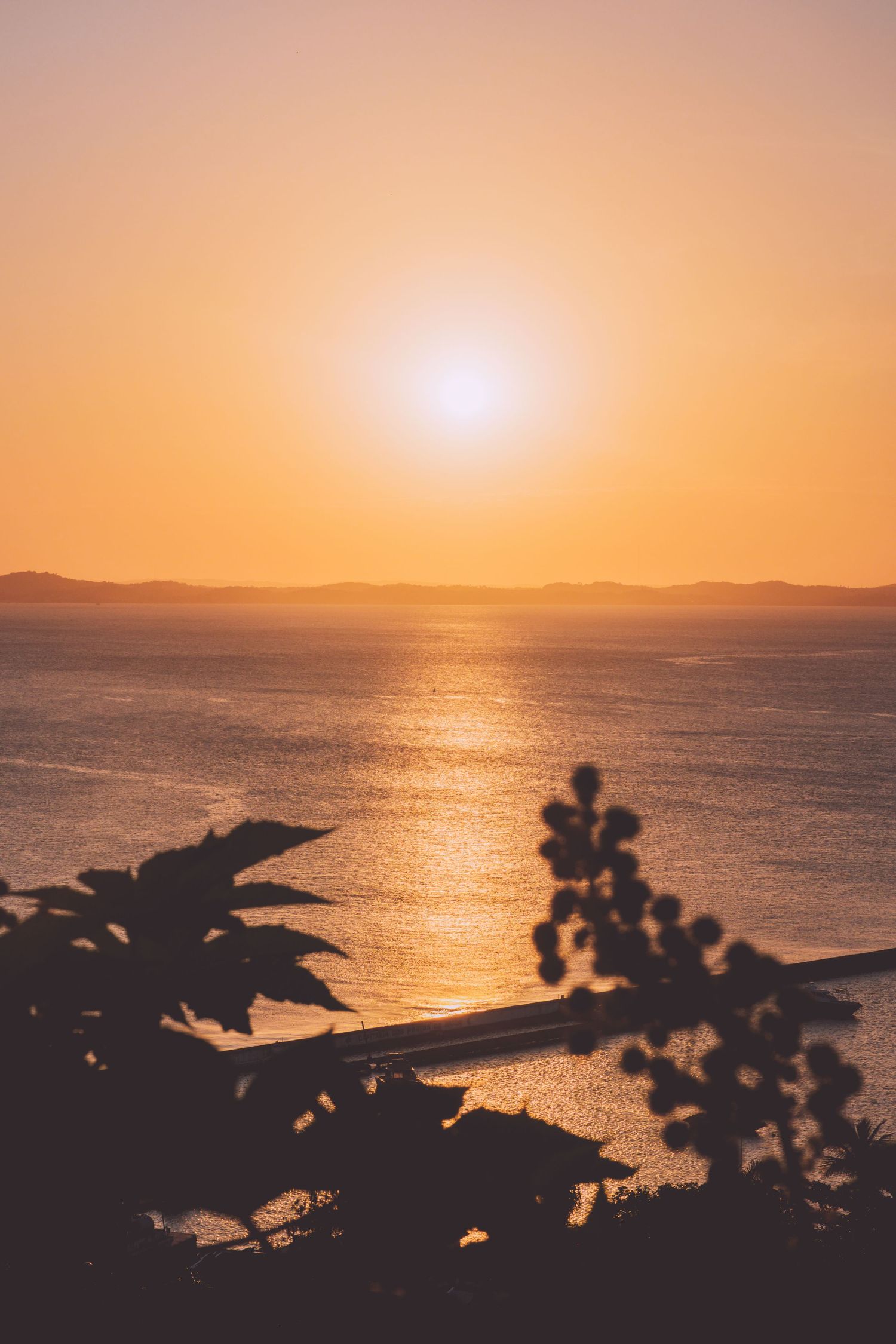 Silhouette of coastal landscape against vibrant orange sunset over ocean horizon in Salvador de Bahia, Brazil.