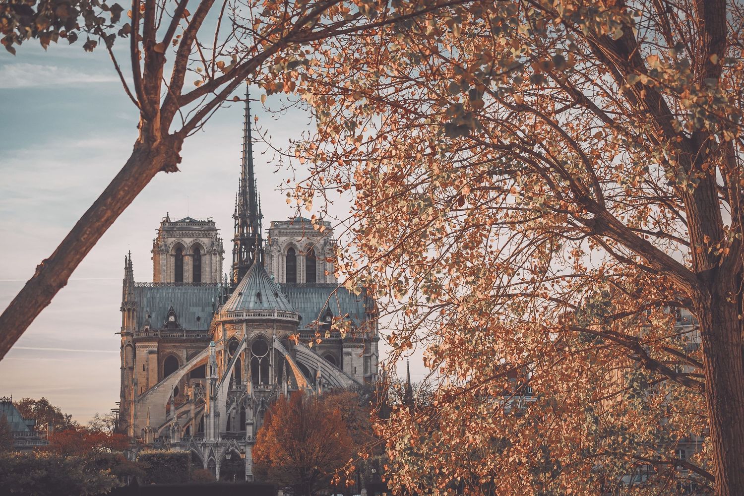 Notre Dame Cathedral framed by autumn trees with orange foliage in Paris.