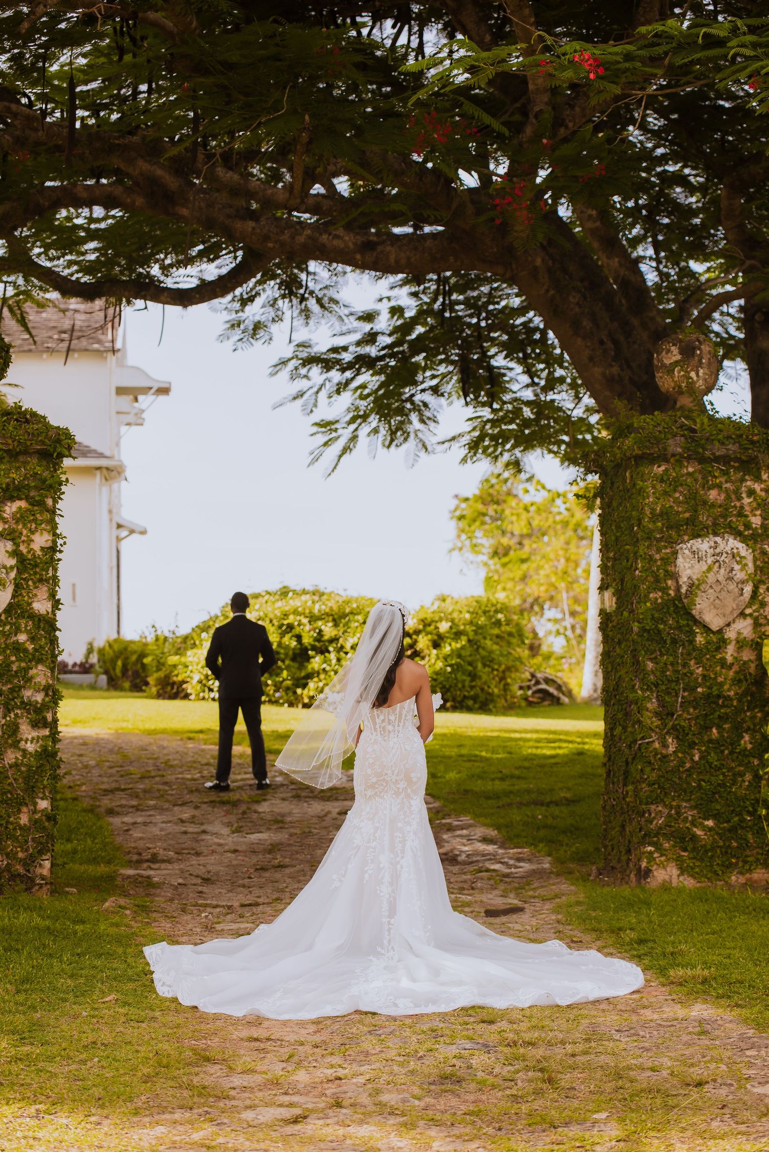 Dramatic wedding dress train spread out against natural outdoor backdrop with trees.