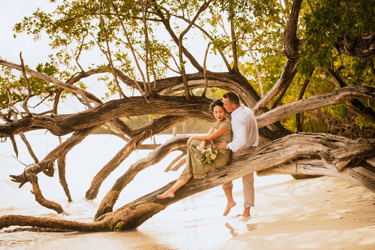 Couple sitting on large driftwood tree at tropical beach during golden hour.