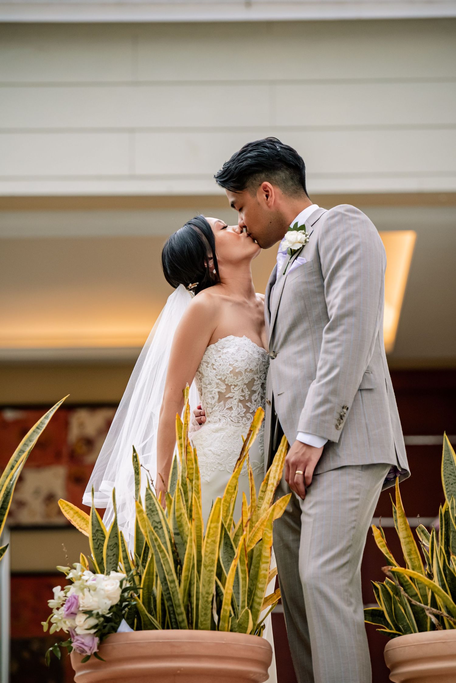 Wedding couple poses for romantic portraits beside potted snake plants in an indoor setting.