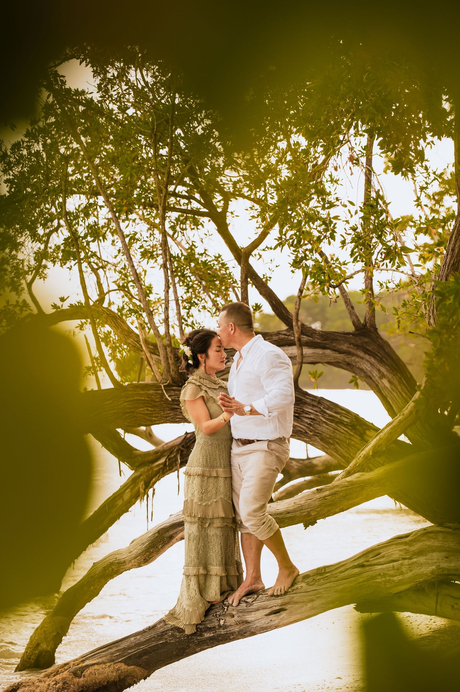 Couple embracing on fallen tree branch with sunlight filtering through leaves.