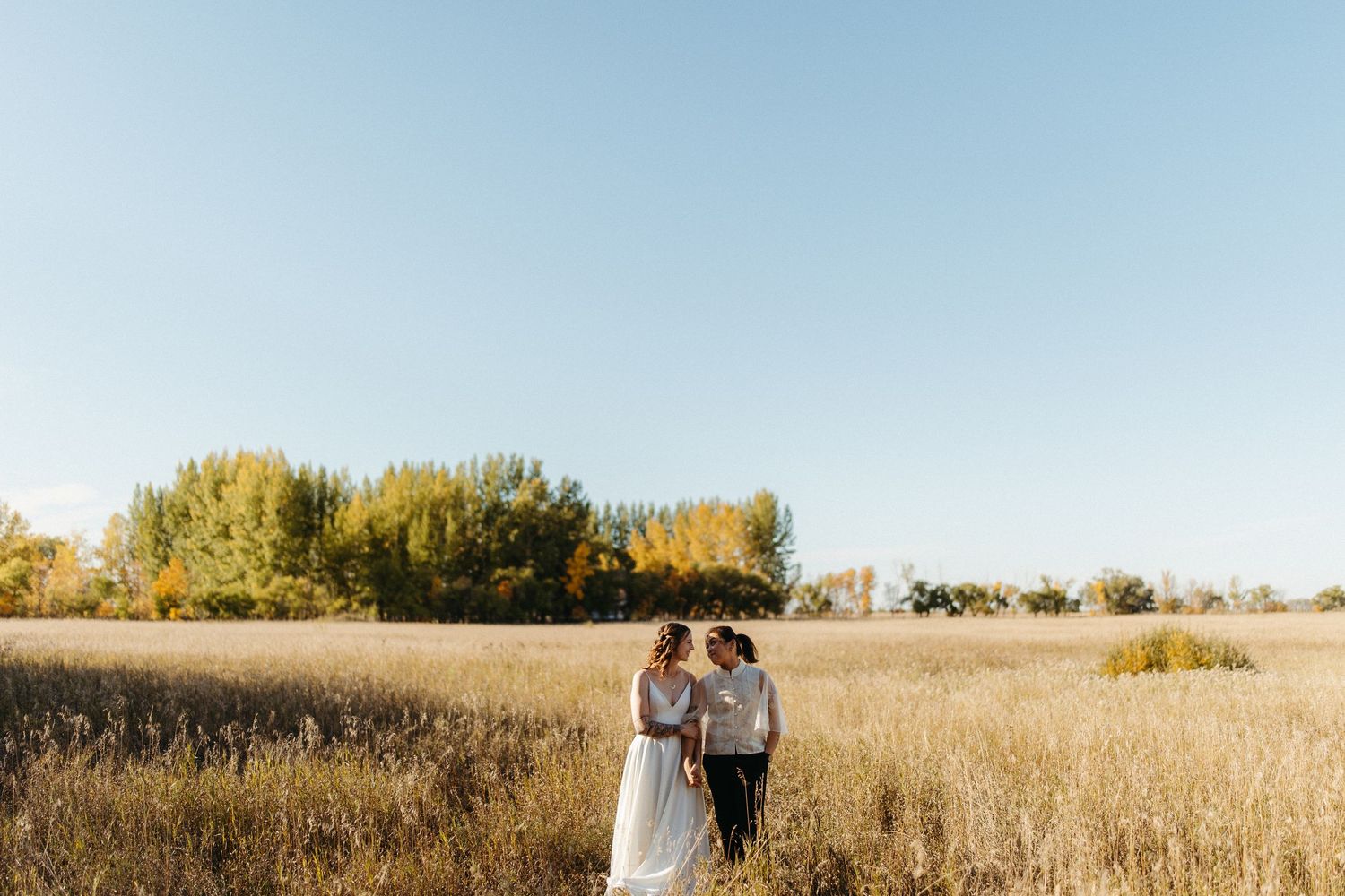 A couple stands together in a golden autumn field with tall yellow grass and trees on the horizon.