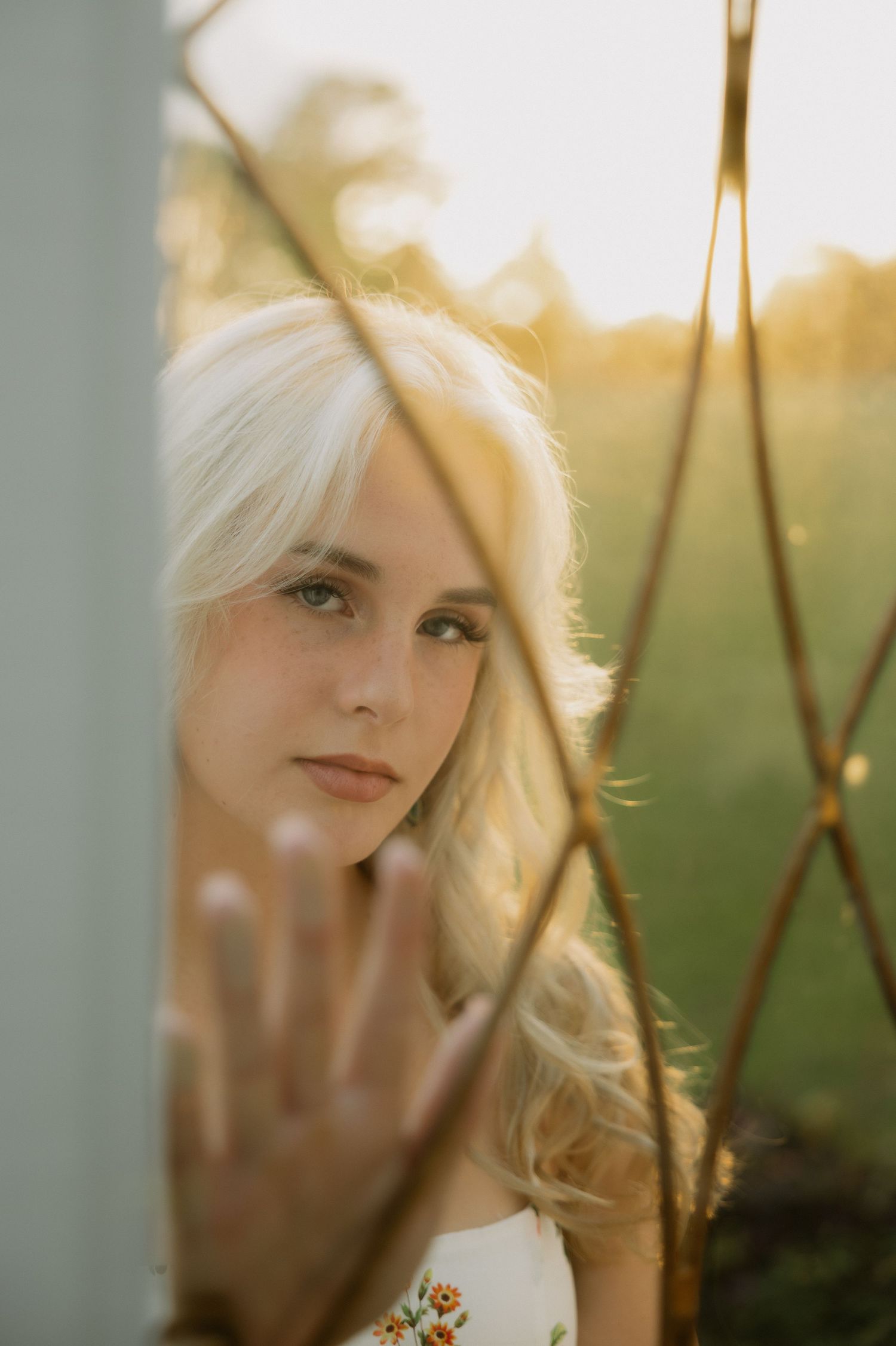 Blonde woman with blue eyes peers through golden lattice in warm sunset light outdoors.