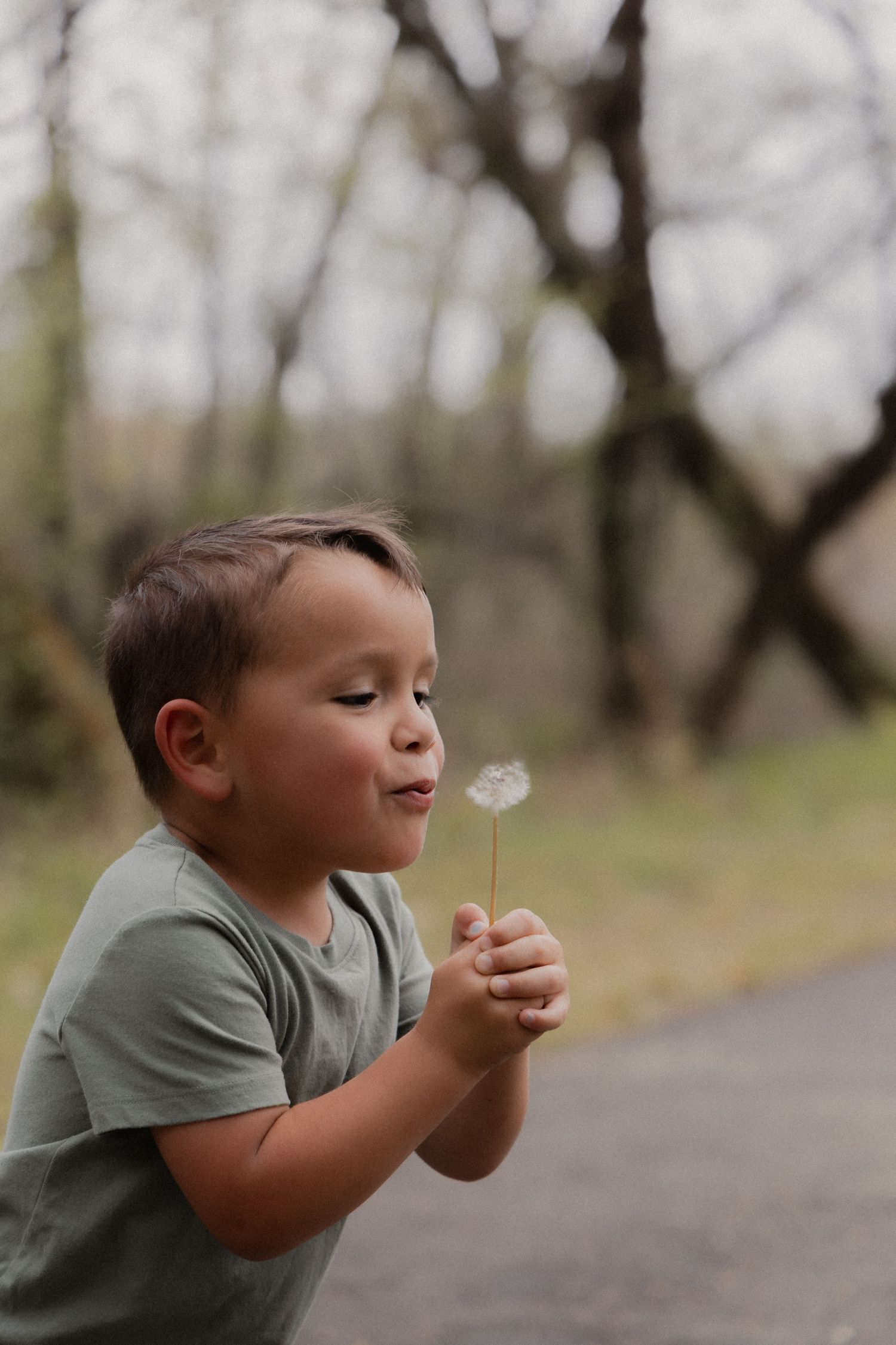 Young boy blowing seeds off a dandelion outdoors with blurred trees in the background.