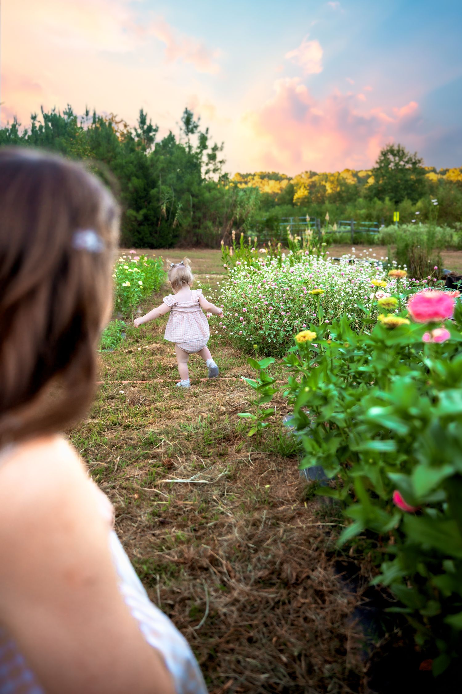 Baby girl in pink dress walks along flower garden path at sunset.