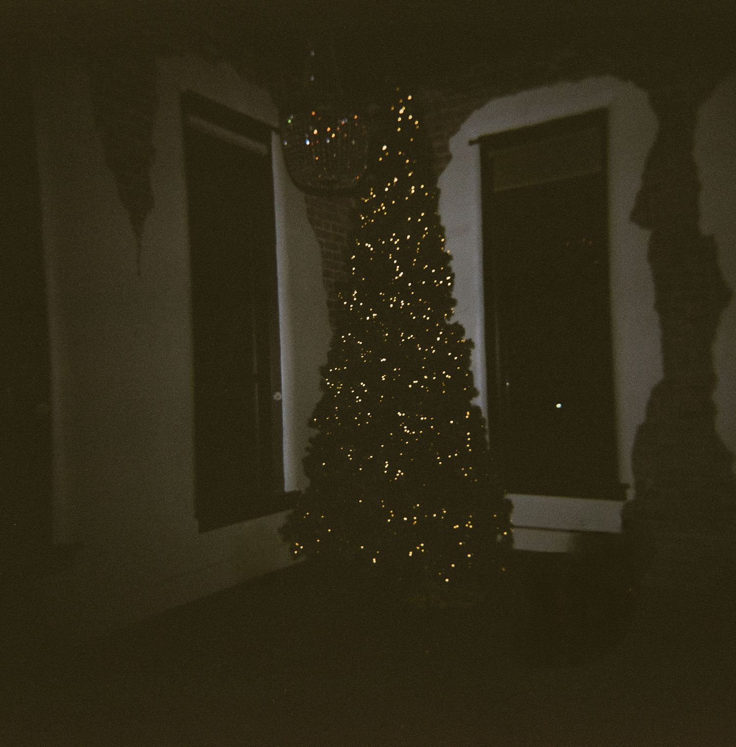 Christmas tree with twinkling lights illuminates a dark venue space with white columns and arches.