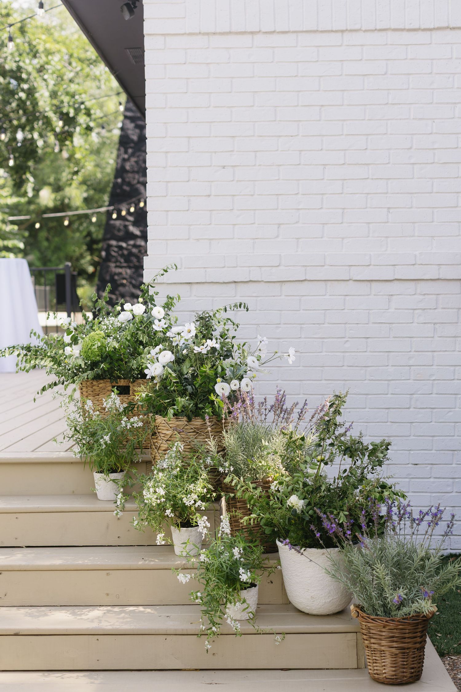 Rustic potted plants and flowers arranged on white painted wooden steps.
