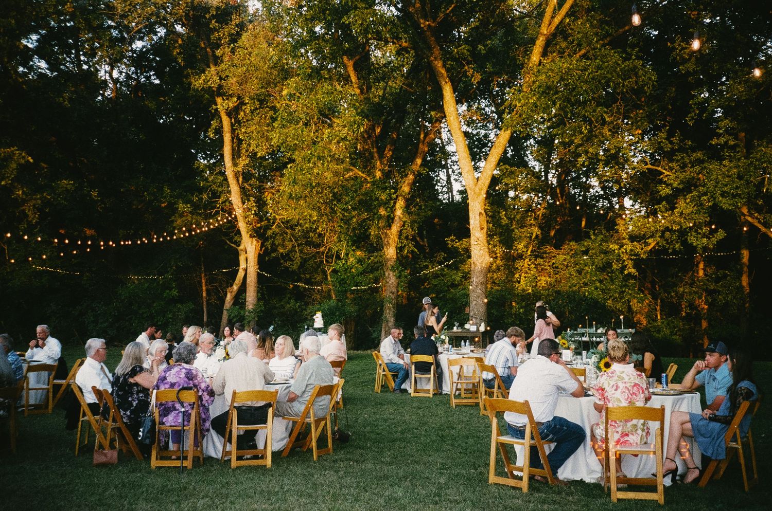 Outdoor evening wedding reception under string lights with guests seated at long tables beneath tall trees.