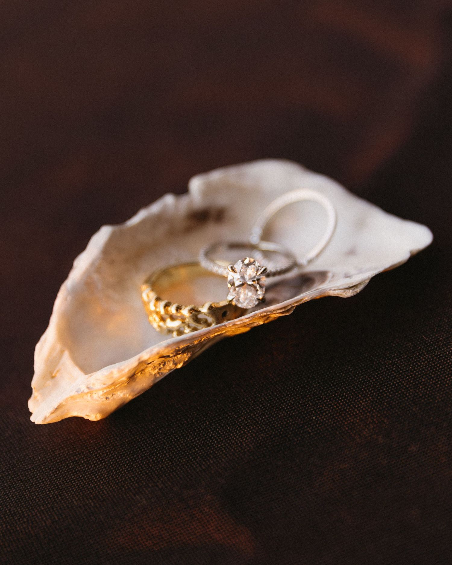 Close-up of a delicate diamond engagement ring resting on a seashell with soft lighting.