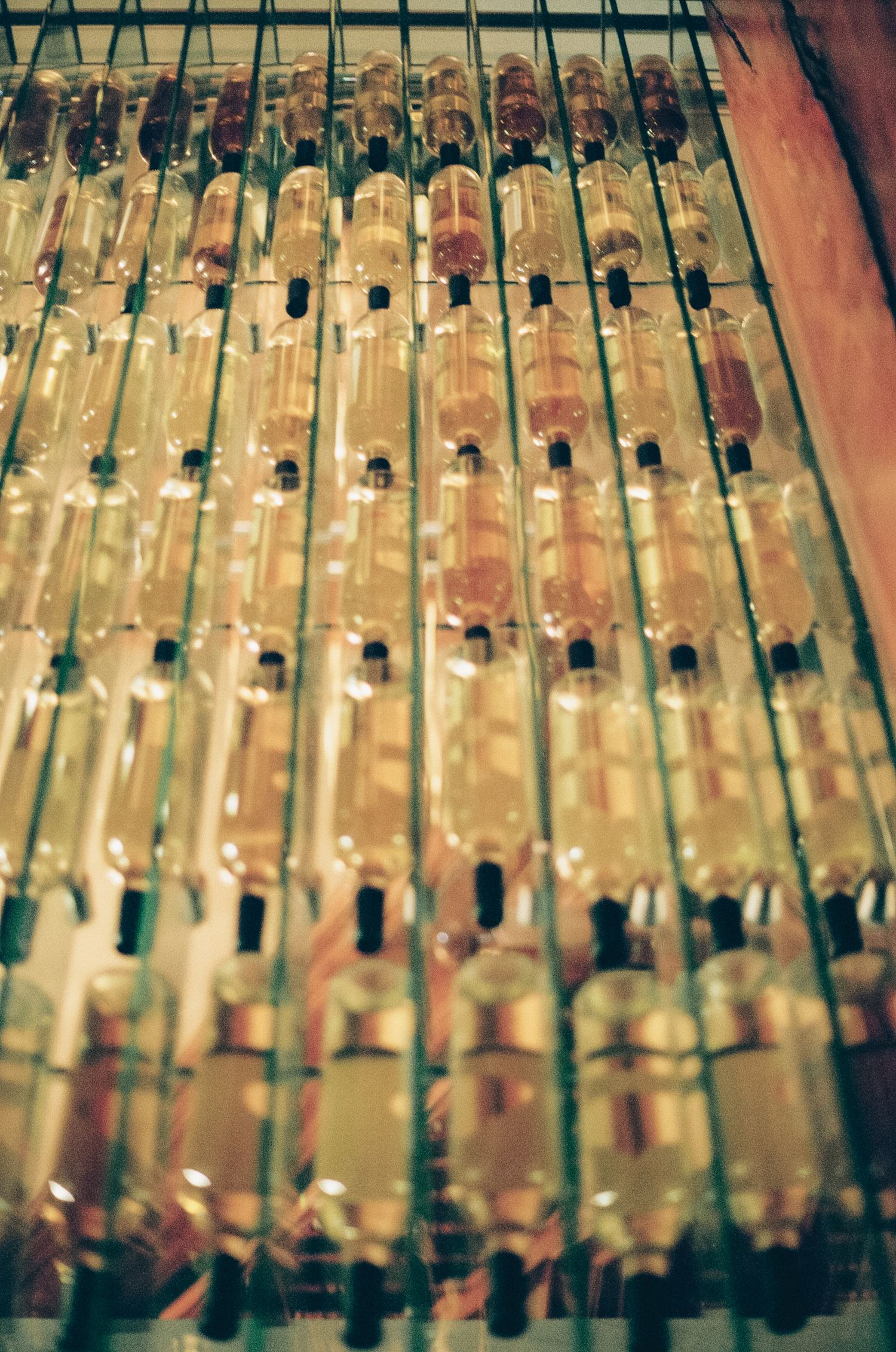 Artistic close-up of vintage glass bottles arranged in rows with ambient lighting.