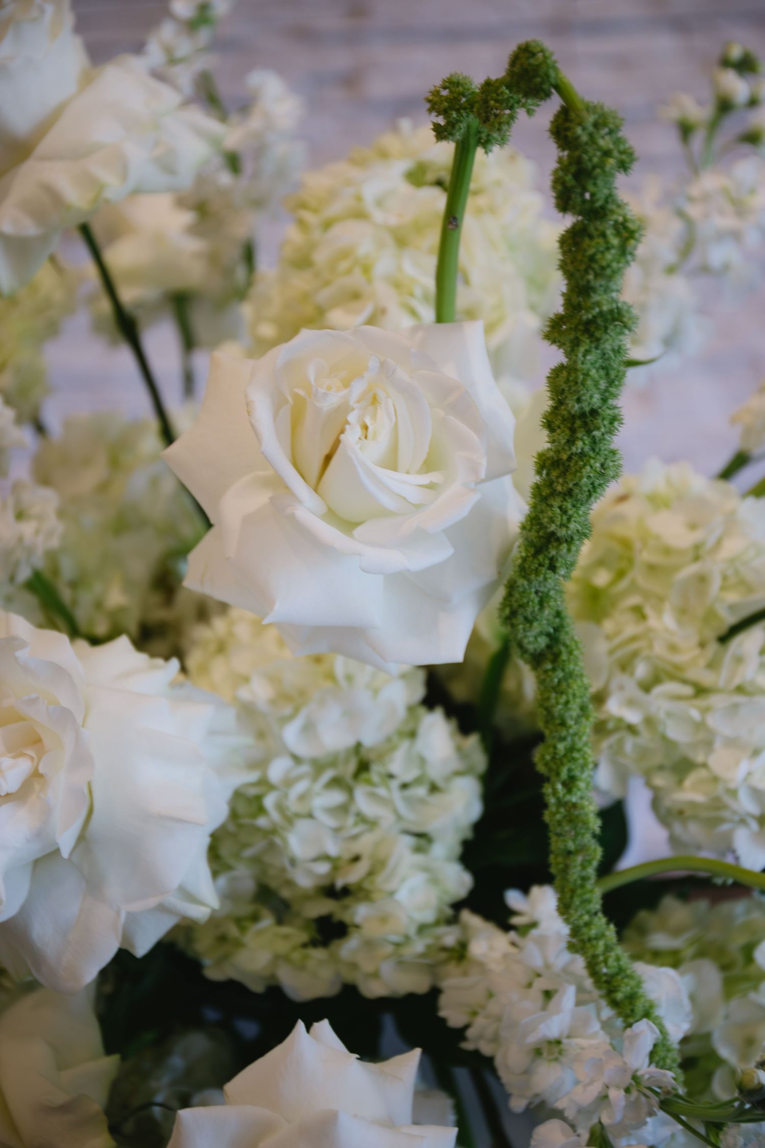 Elegant white roses and hydrangeas with green amaranthus in wedding floral arrangement.