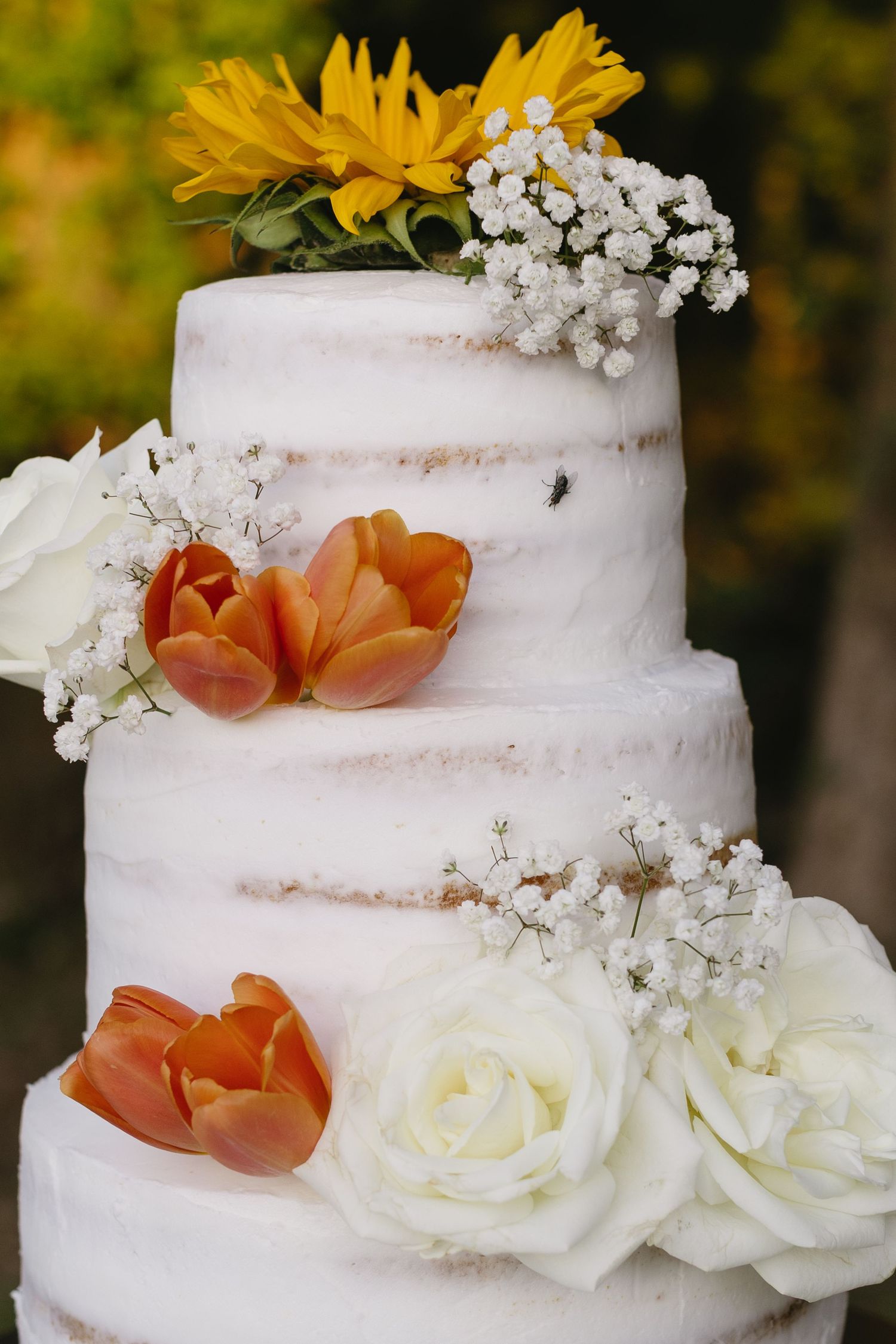 Wedding cake decorated with sunflowers, roses and baby's breath on white frosting.