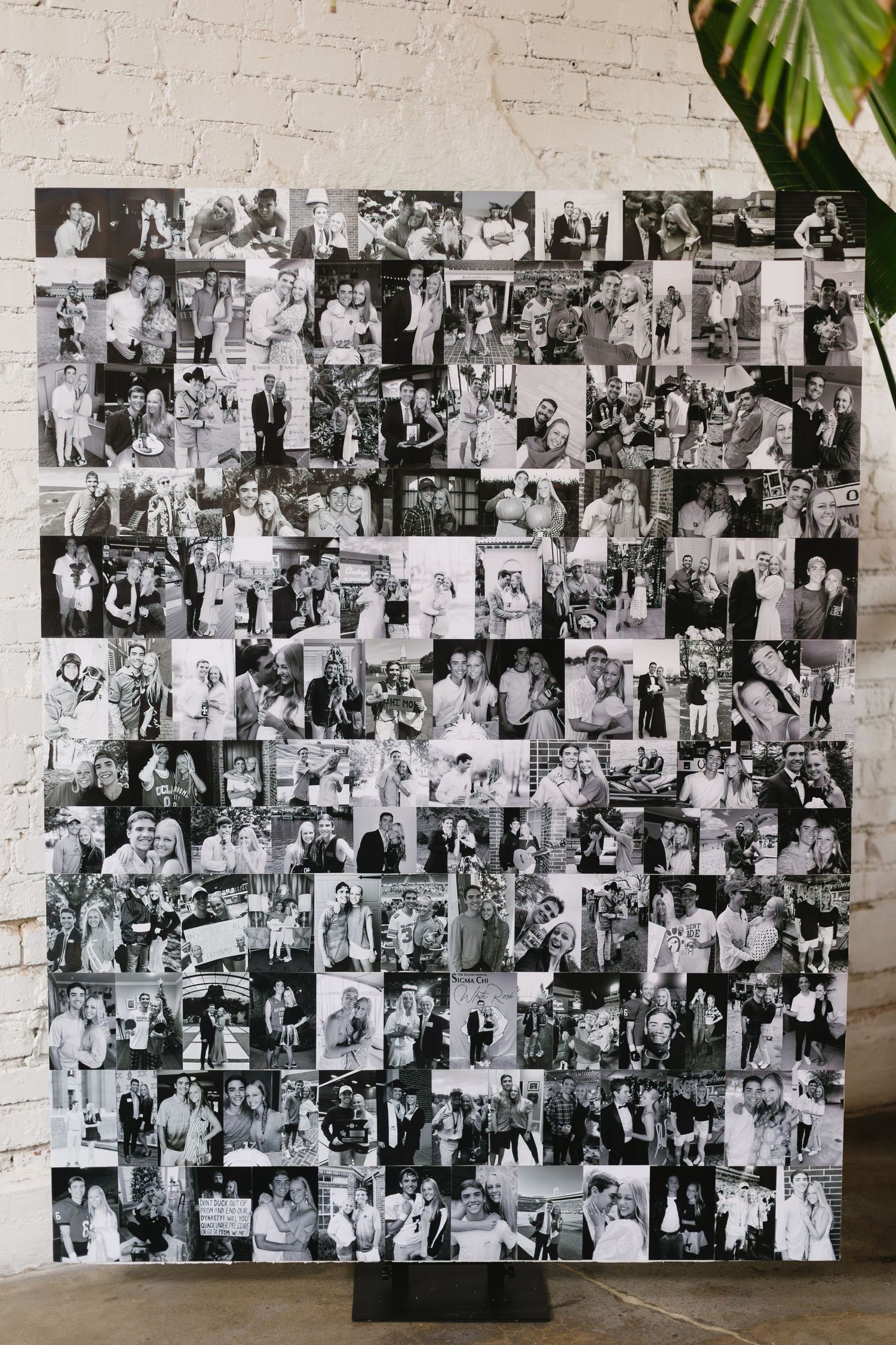A collage wall display of black and white photographs arranged on a white brick background.