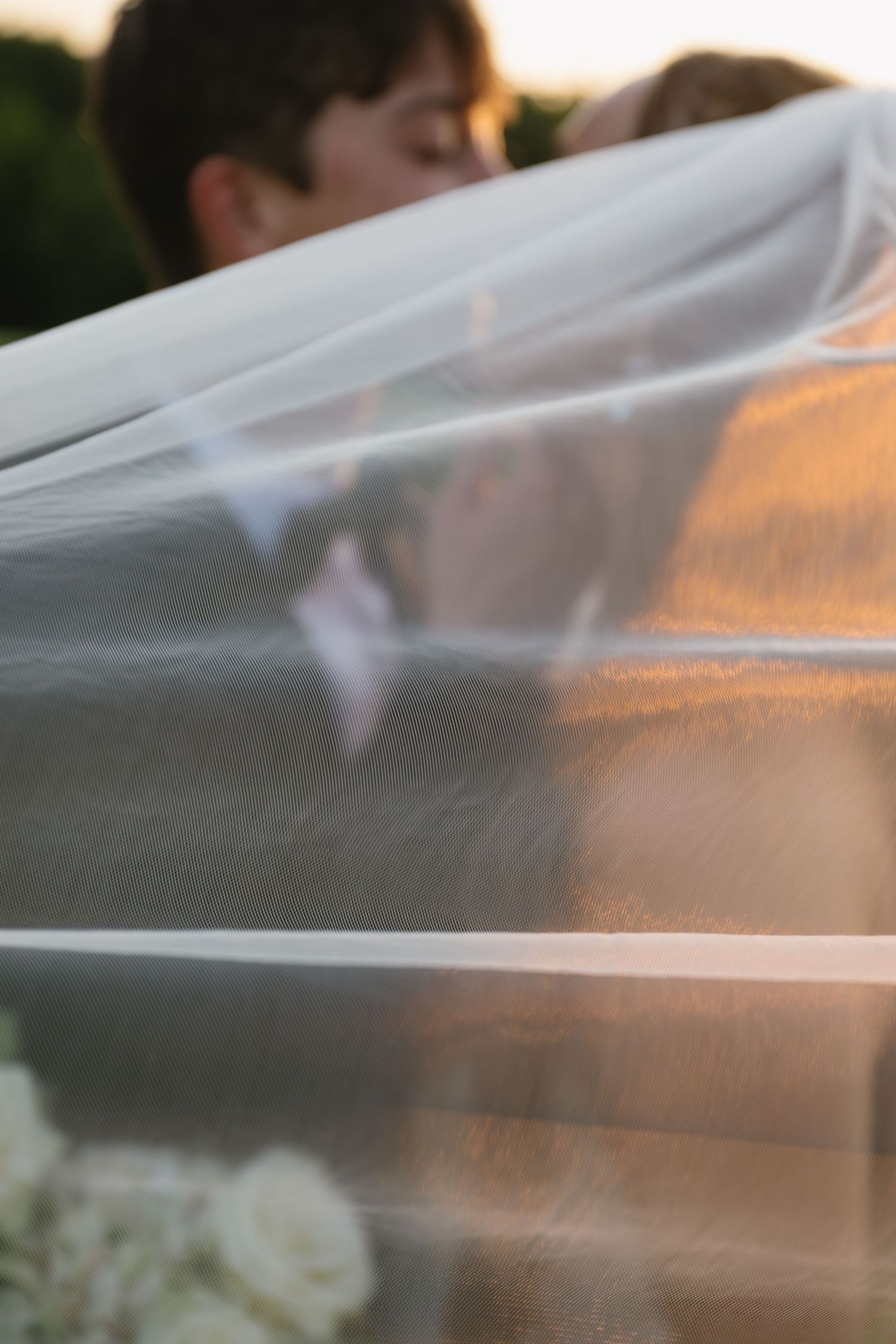 Abstract view of sheer fabric catching golden sunset light.