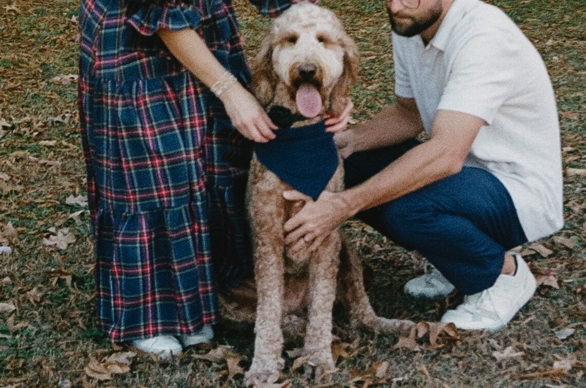 A Goldendoodle puppy receives loving pets and attention while sitting on grass outdoors.