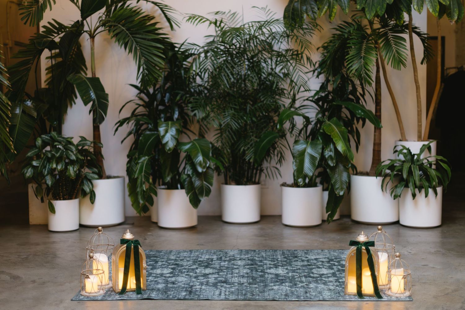 Modern wedding venue decor featuring tropical palm plants and white planters with ambient lighting.