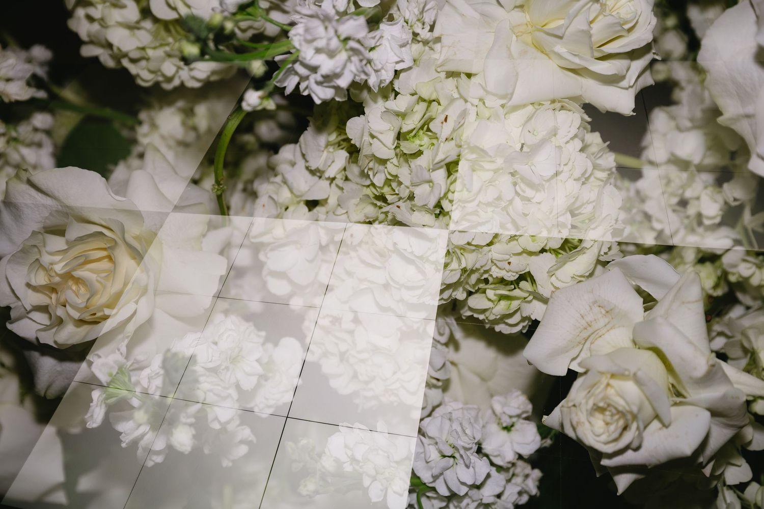 Close-up of white roses and hydrangeas in an elegant floral arrangement.