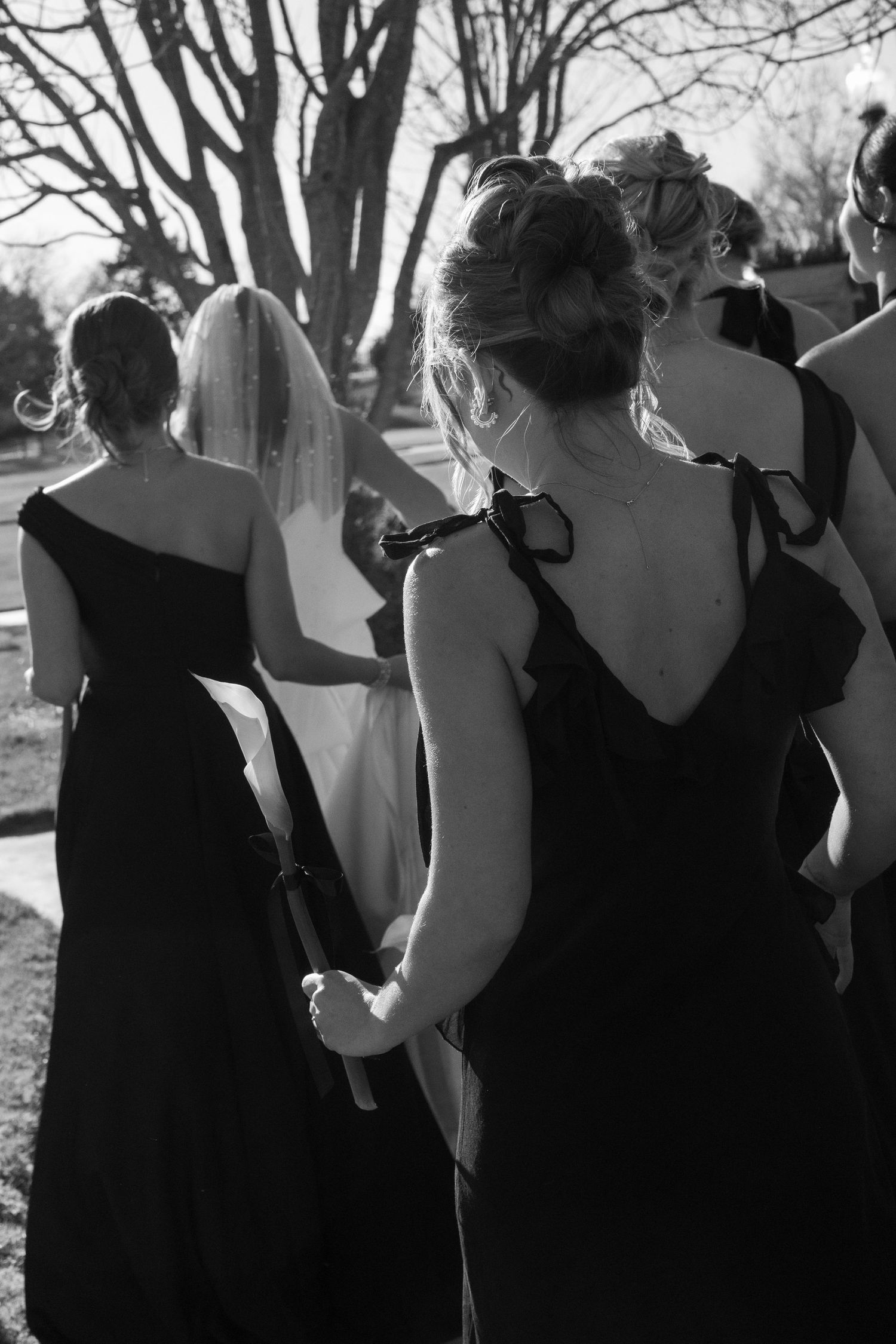 Silhouettes of wedding party members standing together against bare winter trees.