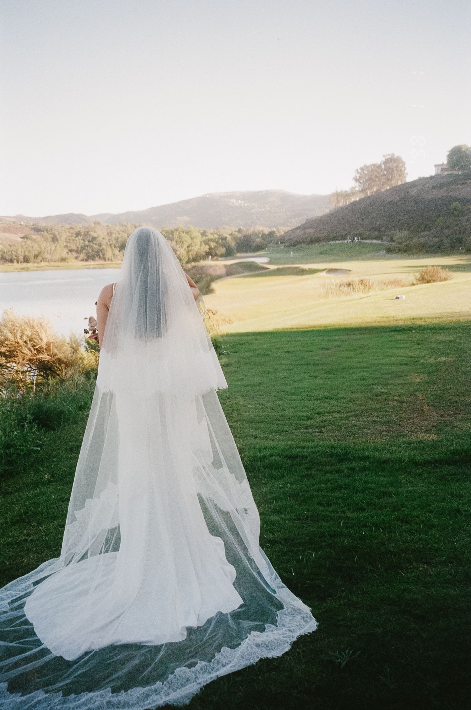 Flowing cathedral veil trailing on grass during golden hour wedding photography.