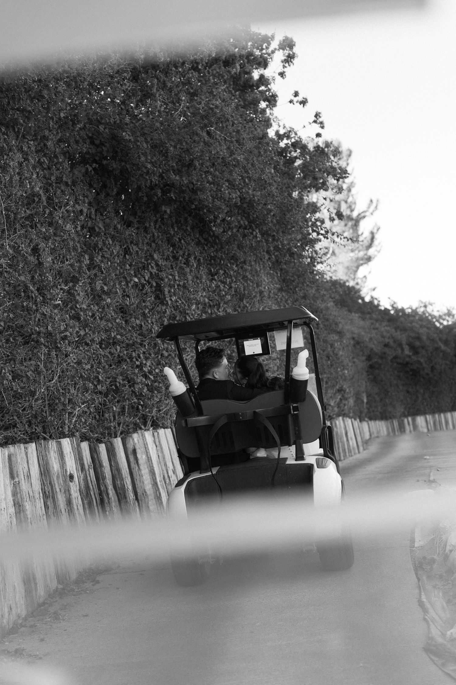 Artistic black and white photo of vintage cars along a fence-lined path in foggy conditions.
