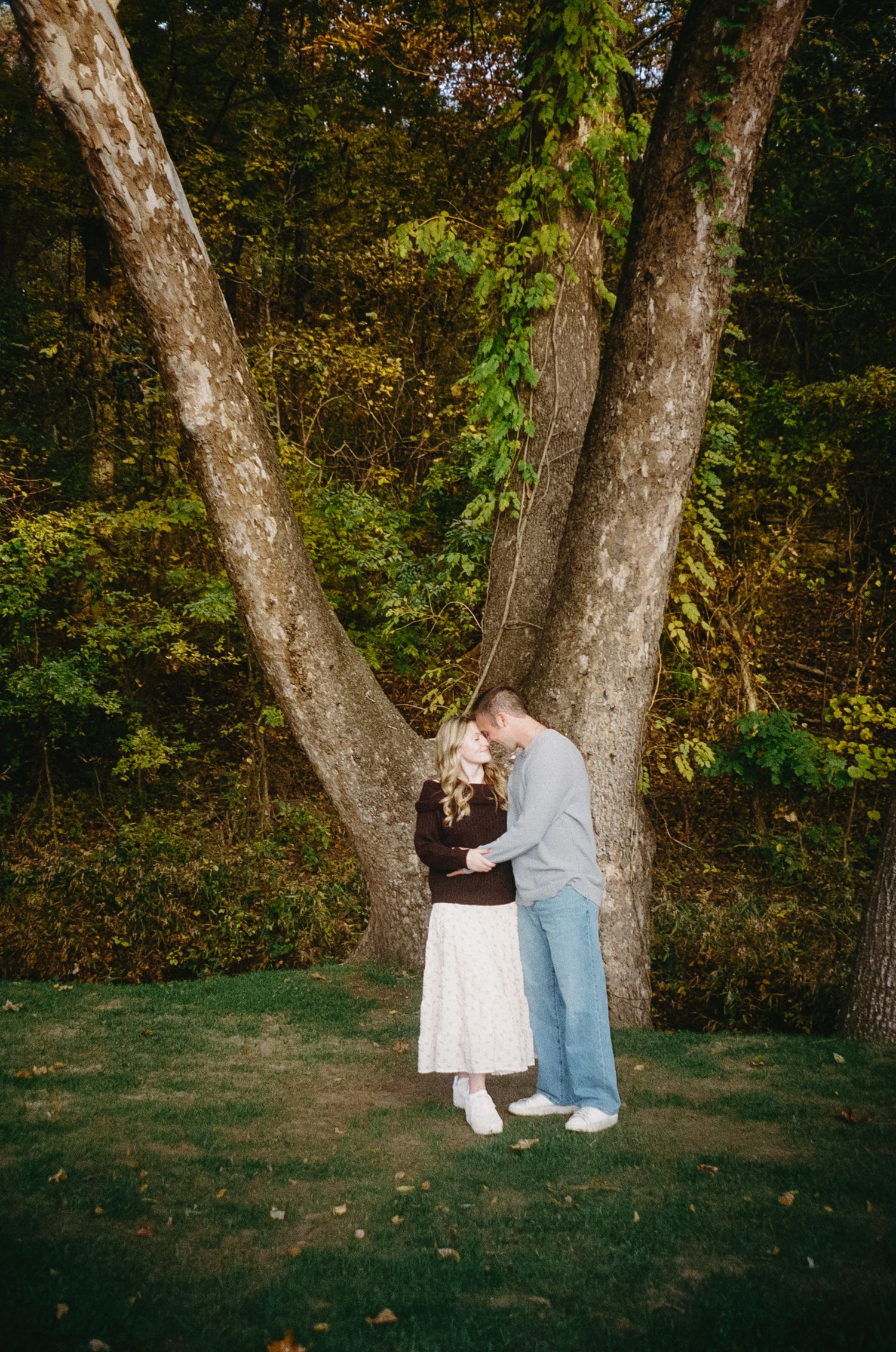 A romantic moment captured between a couple standing in front of a large forked tree trunk in a wooded setting.