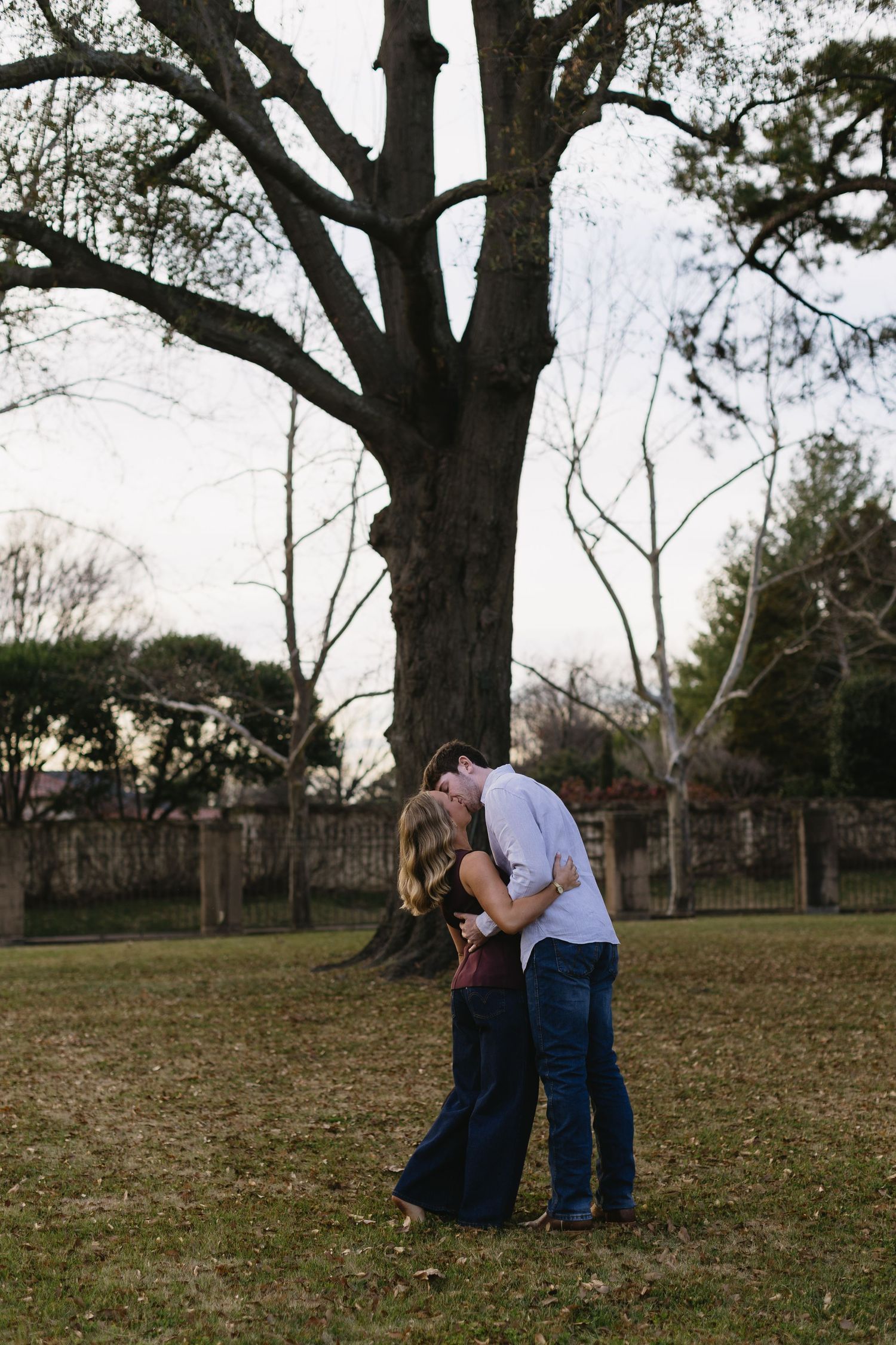 A couple embraces under a large bare tree in a park setting at dusk.