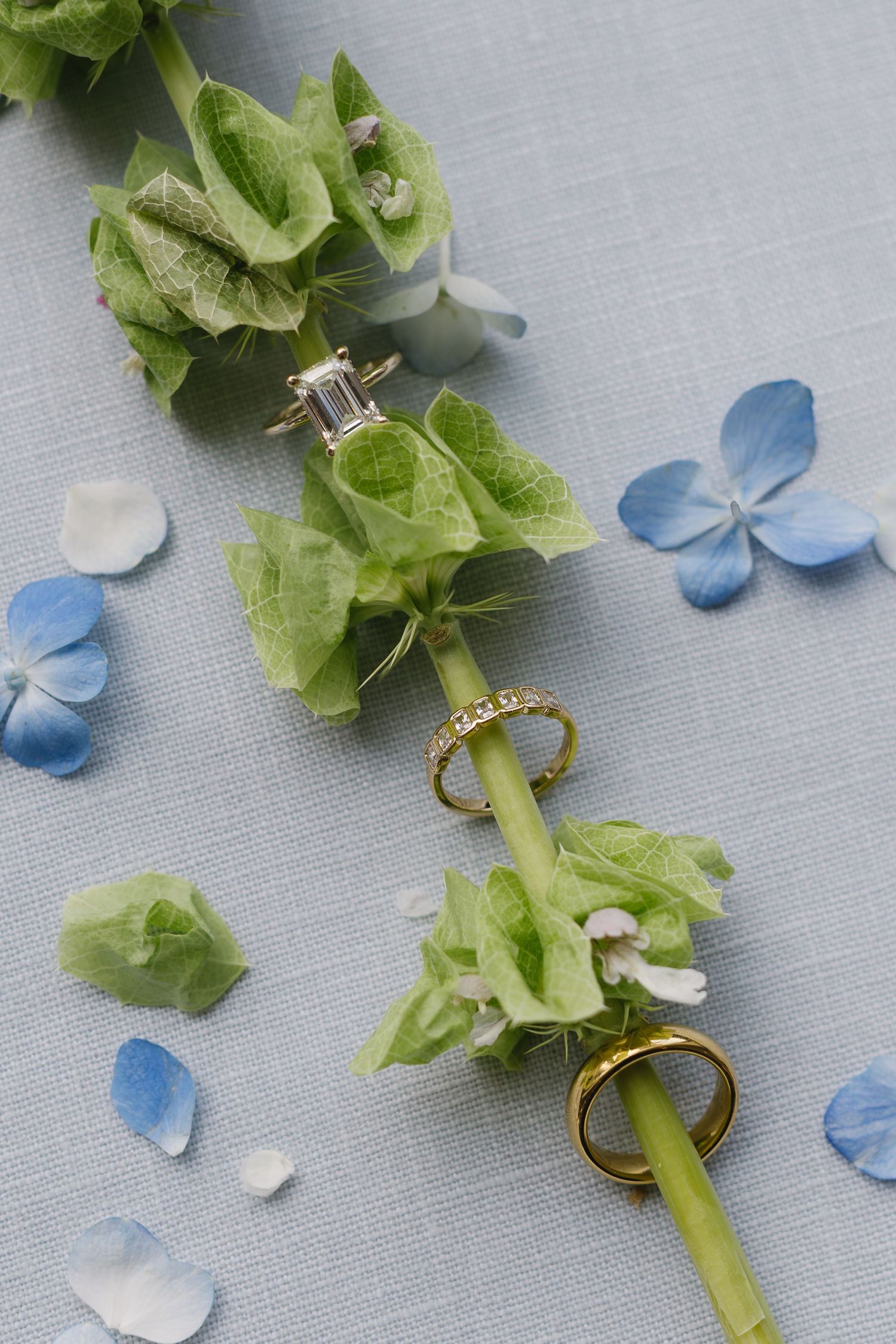 Wedding rings and delicate blue flower petals arranged with green foliage on a light gray background.