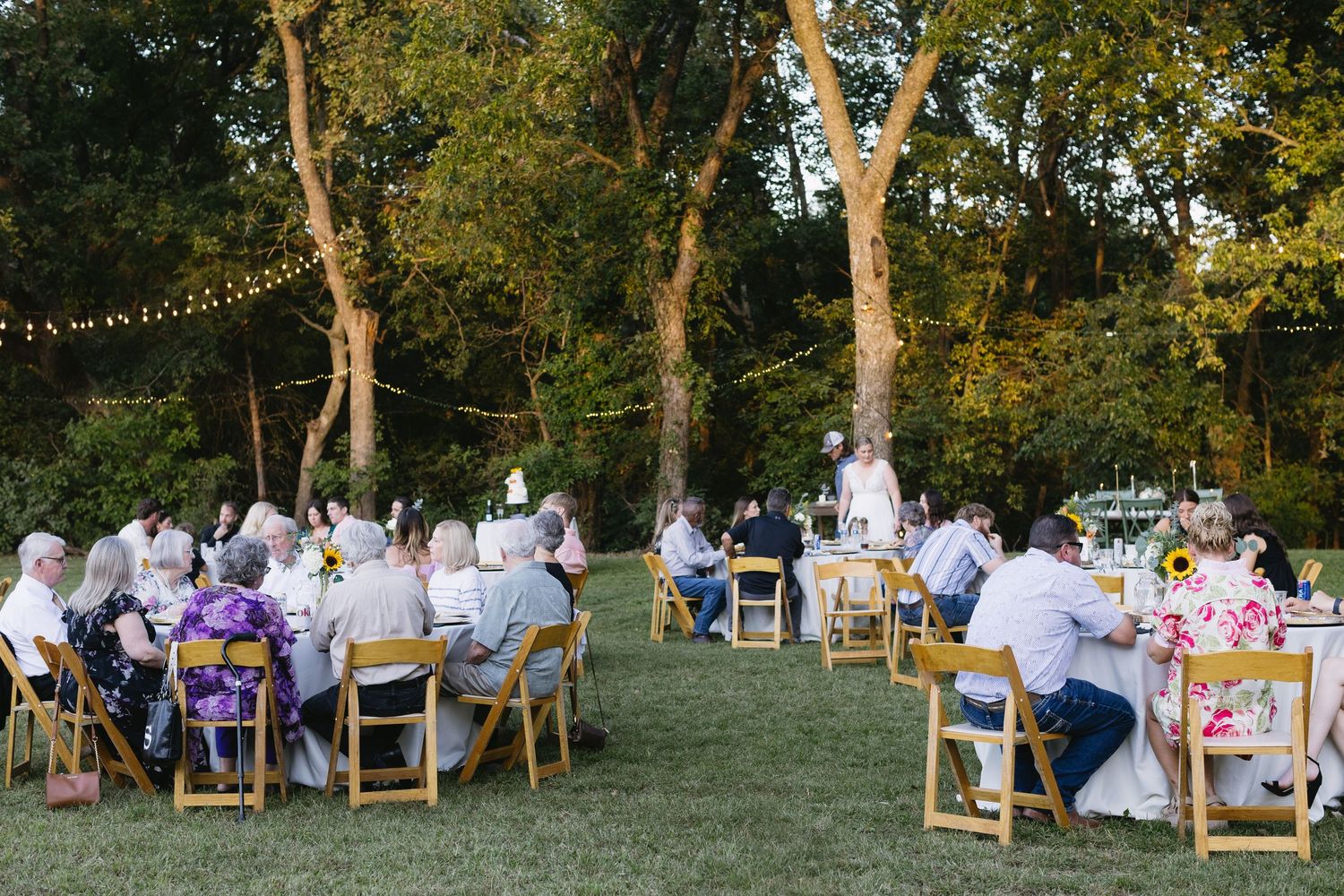Wide view of an outdoor wedding reception setup with wooden chairs and string lights among trees.