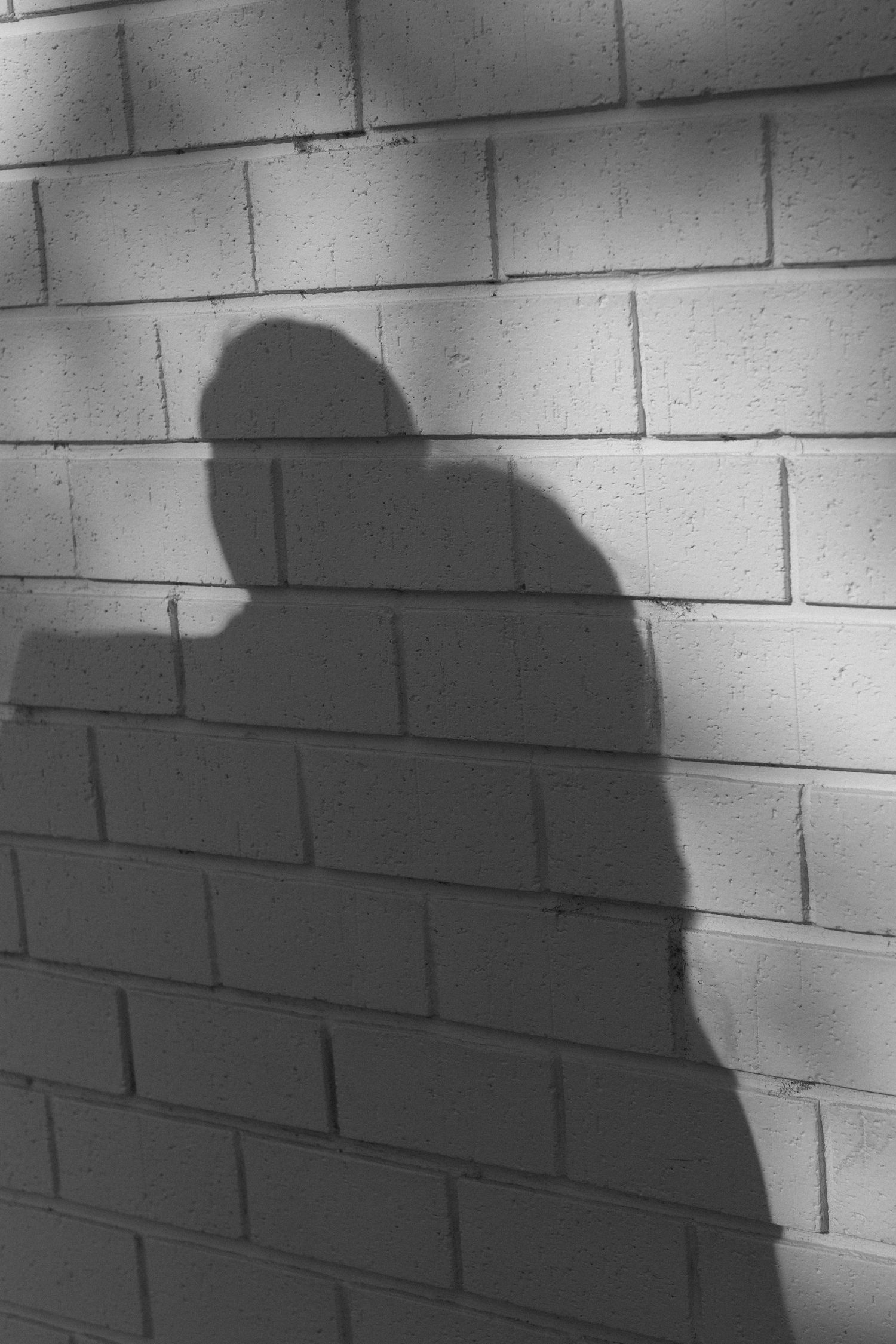 Shadows of a couple embracing cast on a white brick wall.