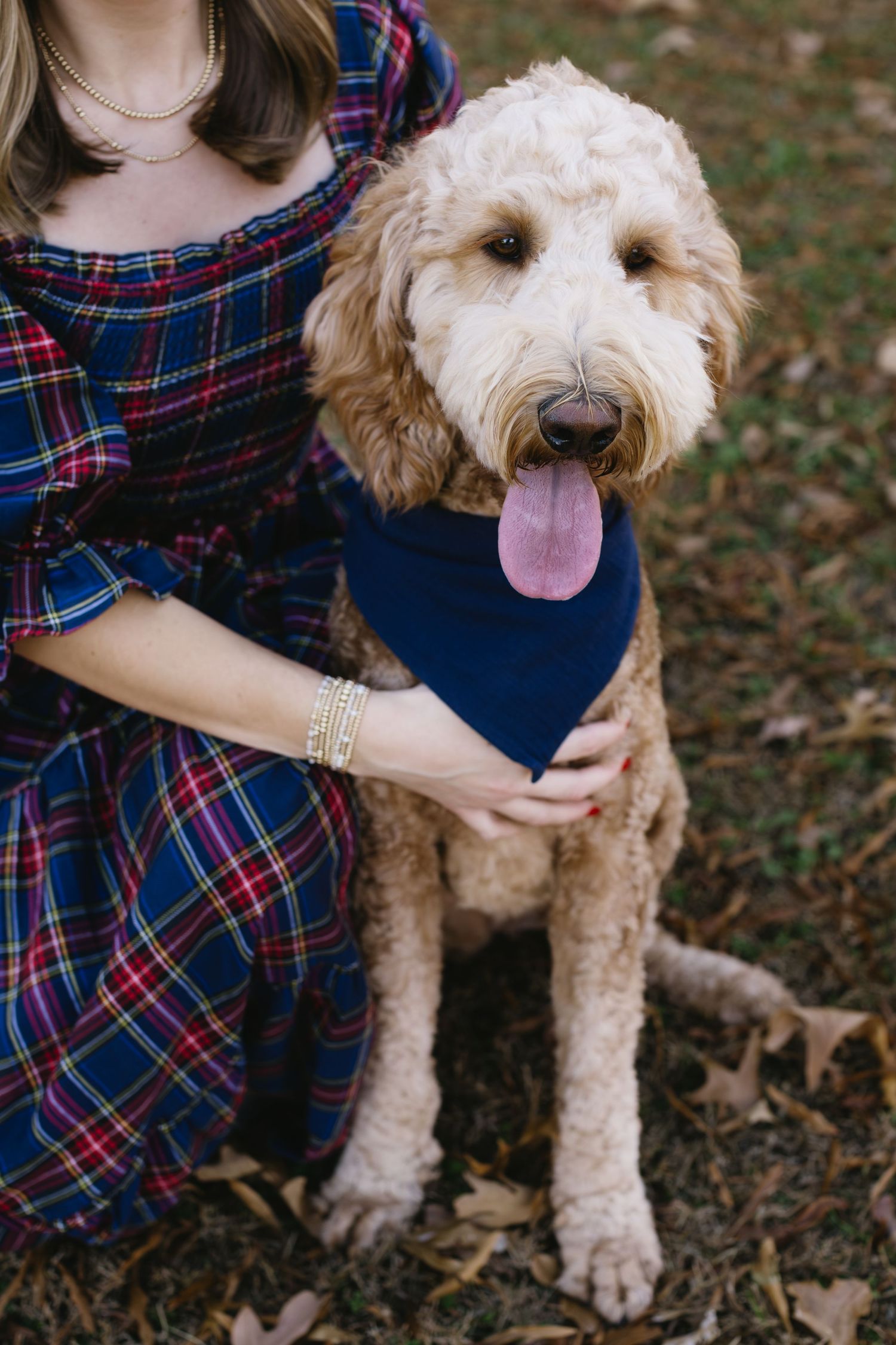 A fluffy goldendoodle dog wearing a navy bandana poses with someone in a plaid shirt in fallen autumn leaves.