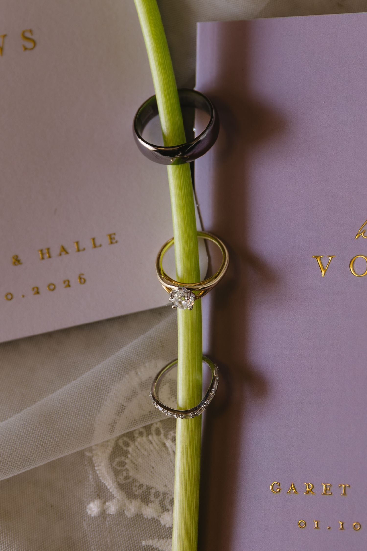 A green flower stem is held upright through a silver ring holder against a soft beige background.