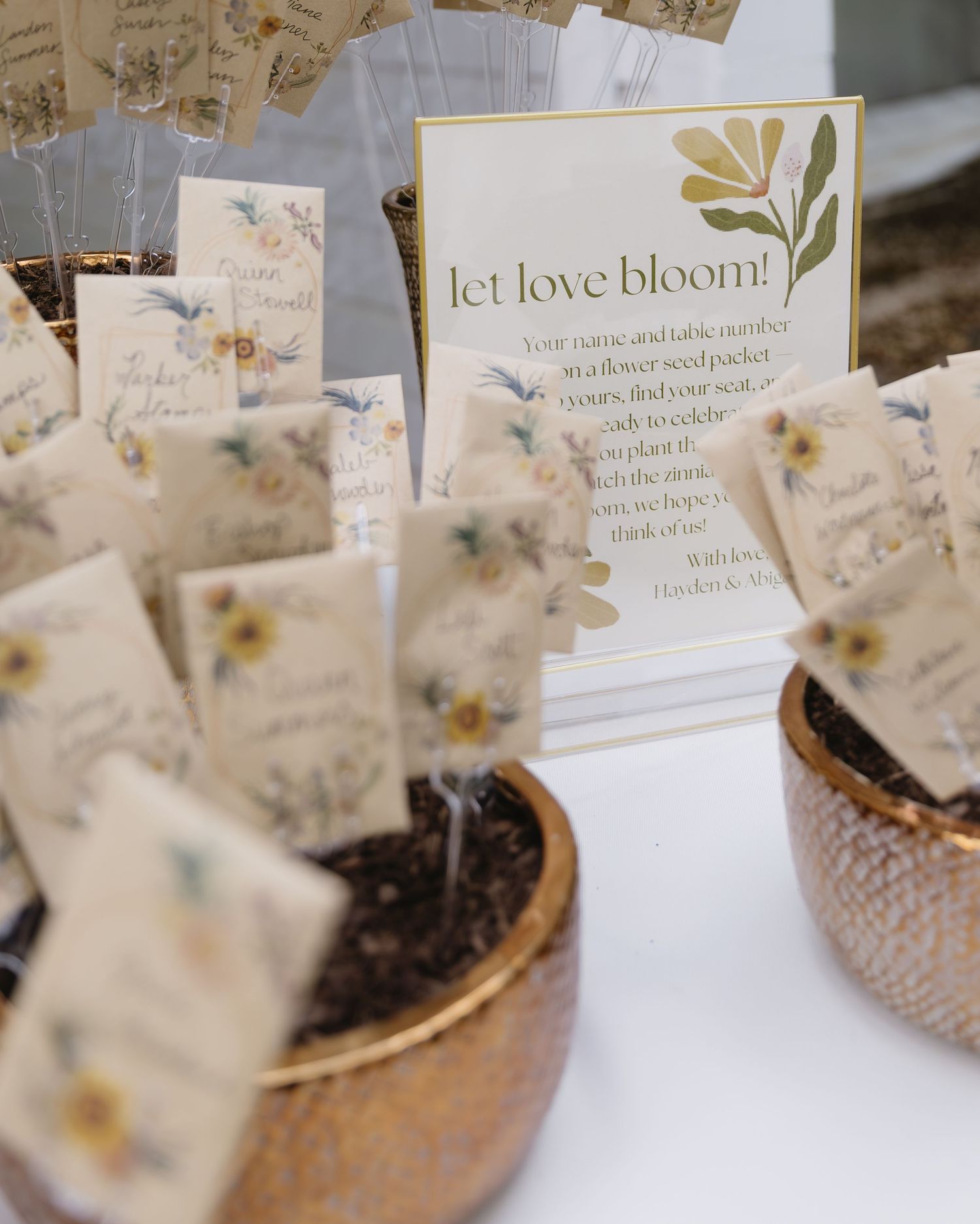 Small paper tags with text are arranged beside miniature potted plants creating a whimsical garden-themed display.