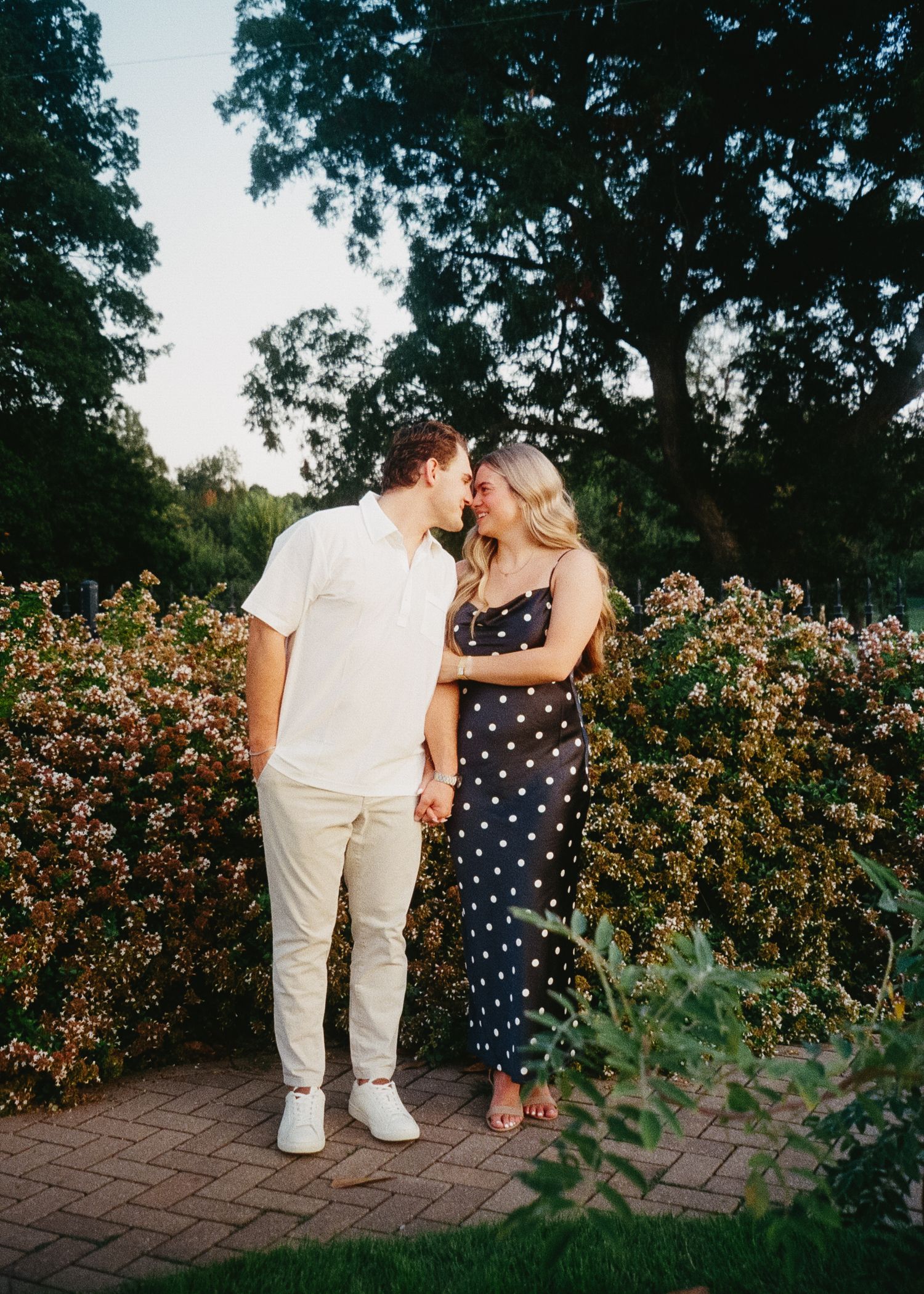 A couple walks together on a brick path surrounded by blooming rose bushes in a garden setting at dusk.