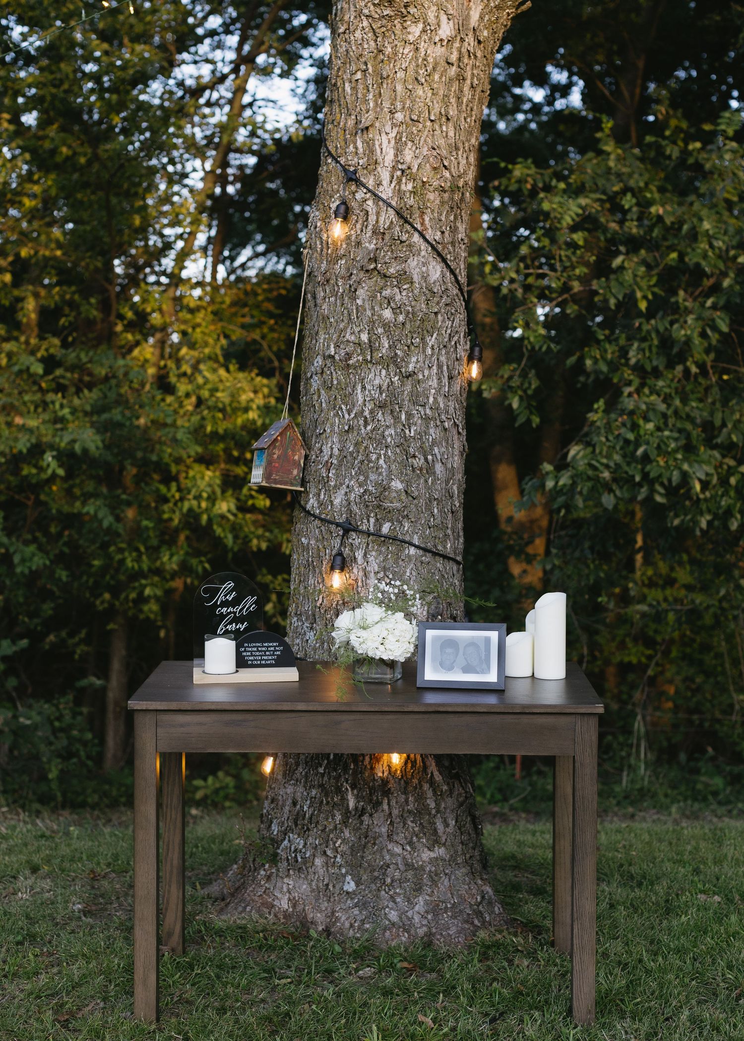 A rustic wooden table decorated with candles and picture frames sits against a large tree trunk with string lights above.