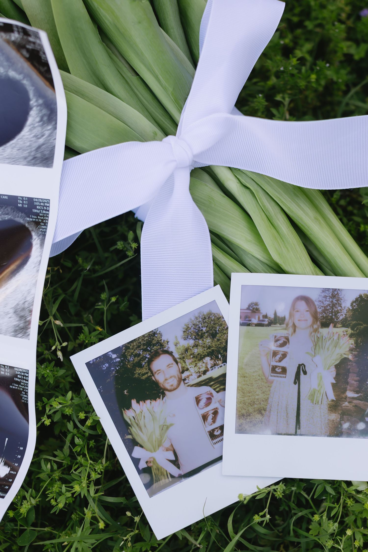Multiple scattered polaroid photographs laying on green grass and leaves in an outdoor setting.