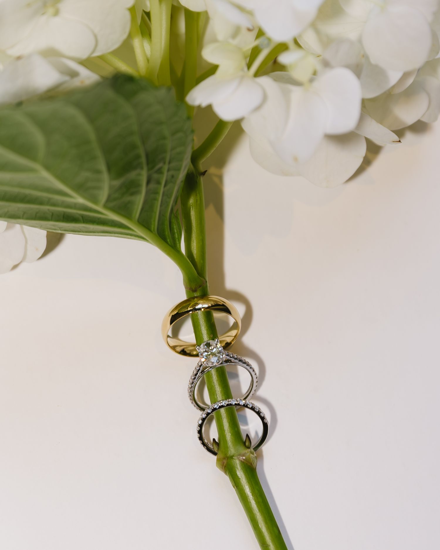Gold wedding rings displayed on white hydrangea flowers with green stems creating an elegant bridal detail shot.
