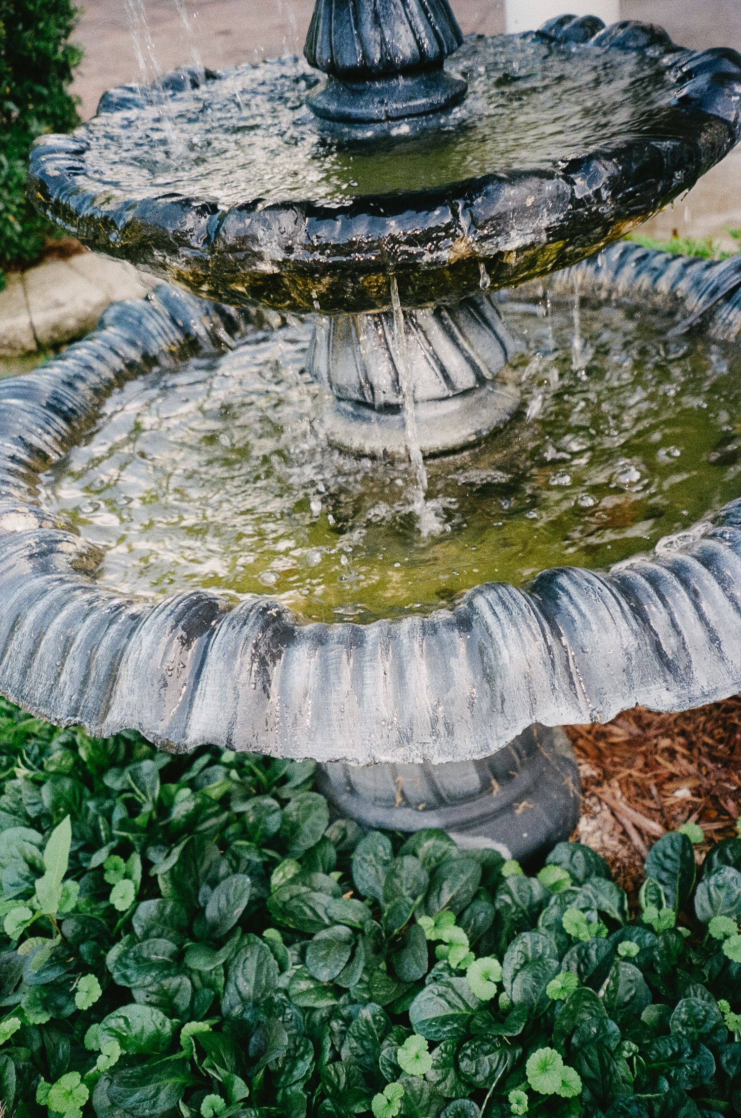 Detailed view of a garden water fountain with cascading tiers surrounded by lush foliage.