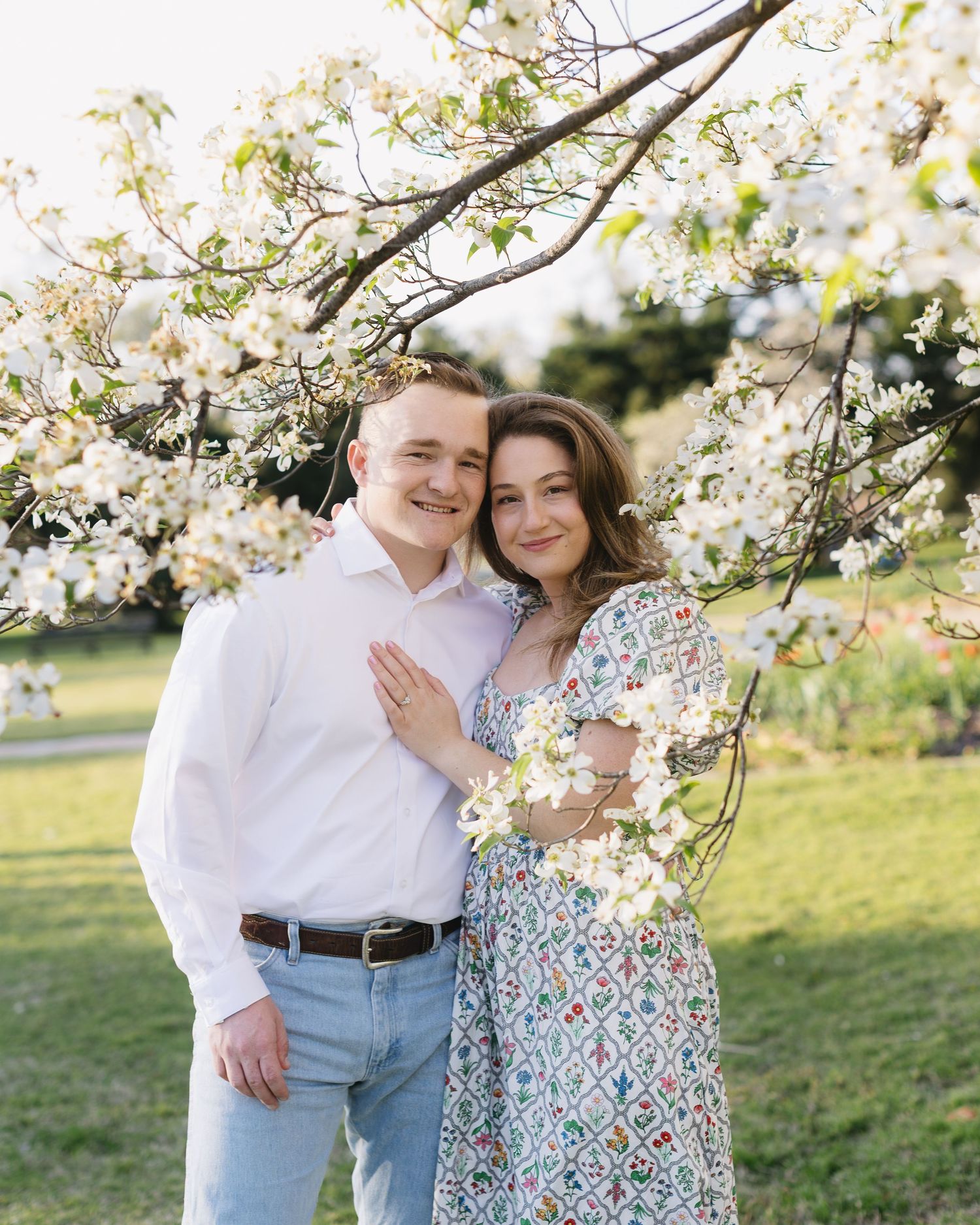 A couple embraces under blooming cherry blossom trees in a park.