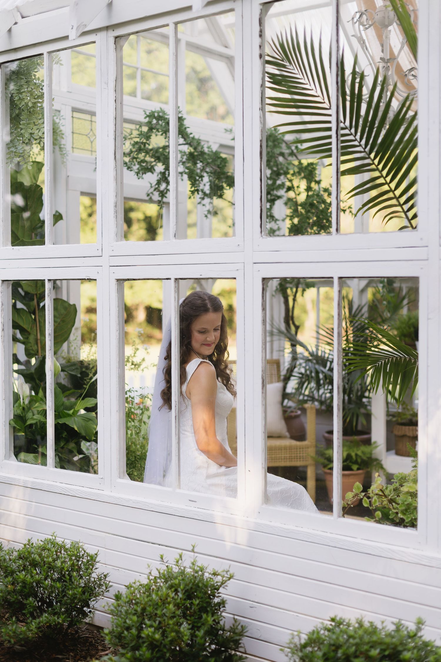 A white greenhouse or conservatory with multiple window panes creates a bright, elegant backdrop.