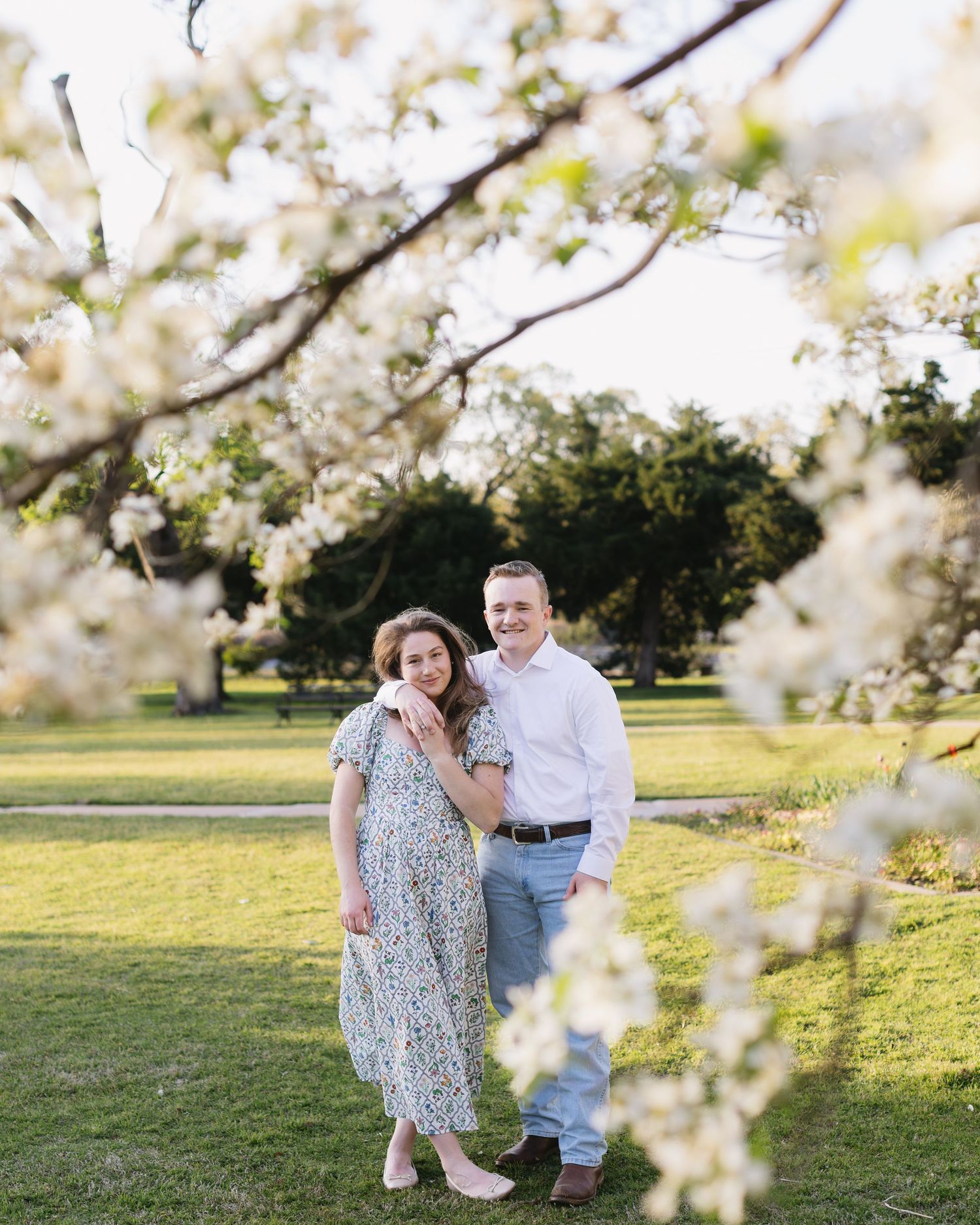 A springtime photoshoot in a grassy field framed by delicate white cherry blossoms.