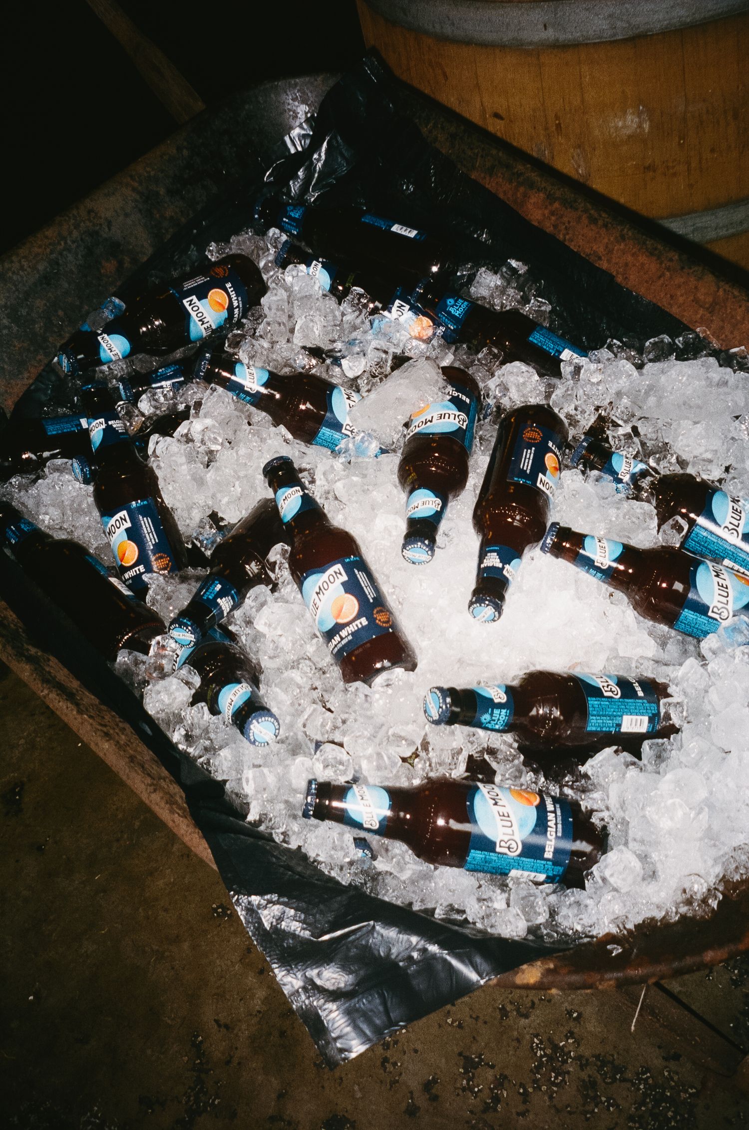 Beer bottles chilling in ice at a party or event.