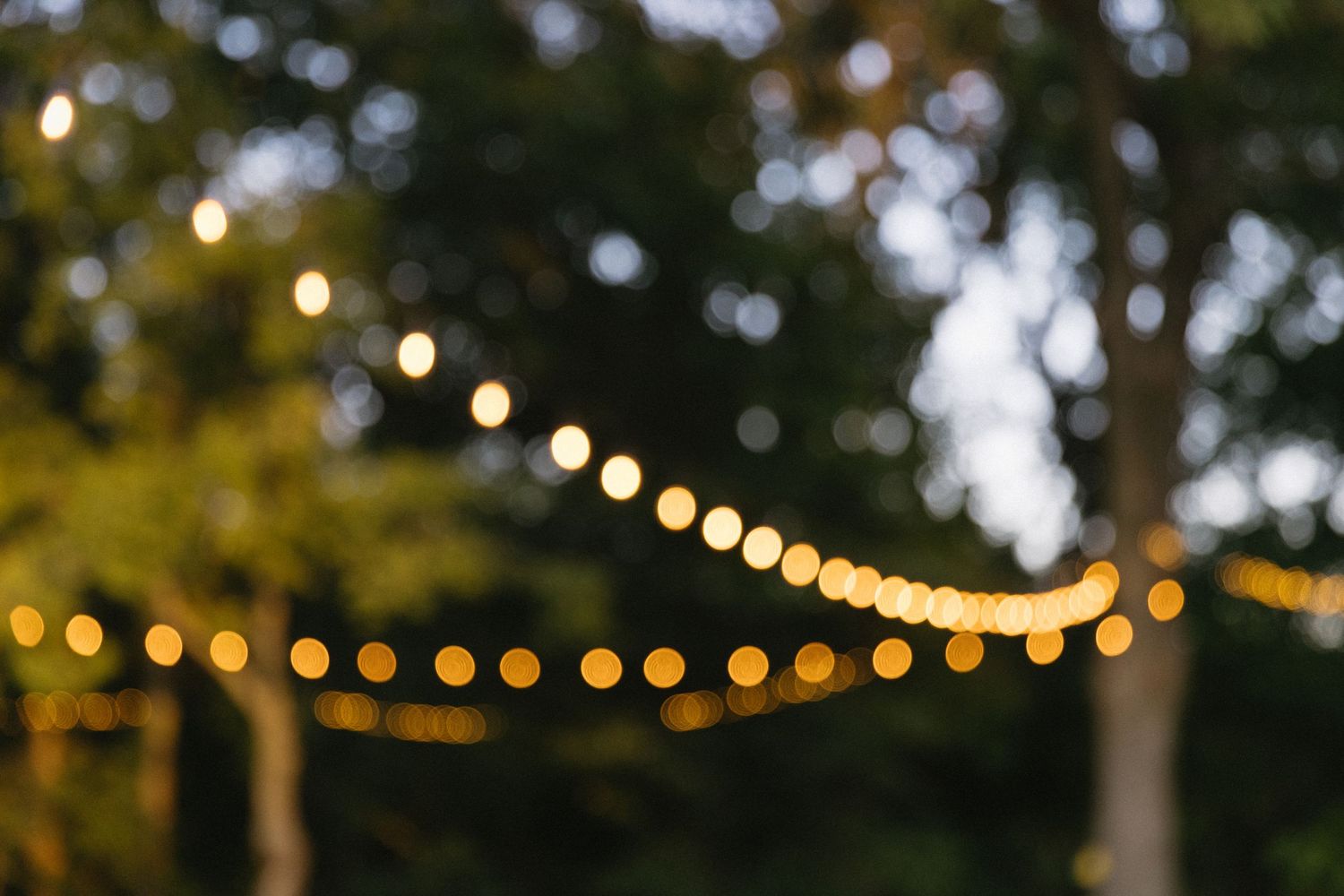 String lights create a magical bokeh effect against a twilight sky through tree branches.