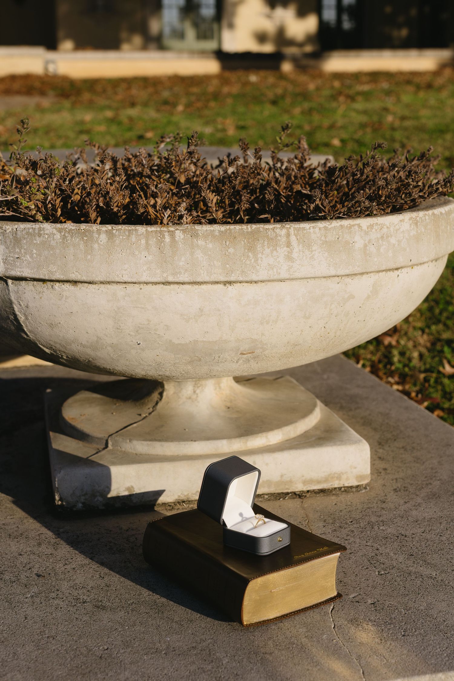 White concrete planter bowl balanced on books in an outdoor setting.