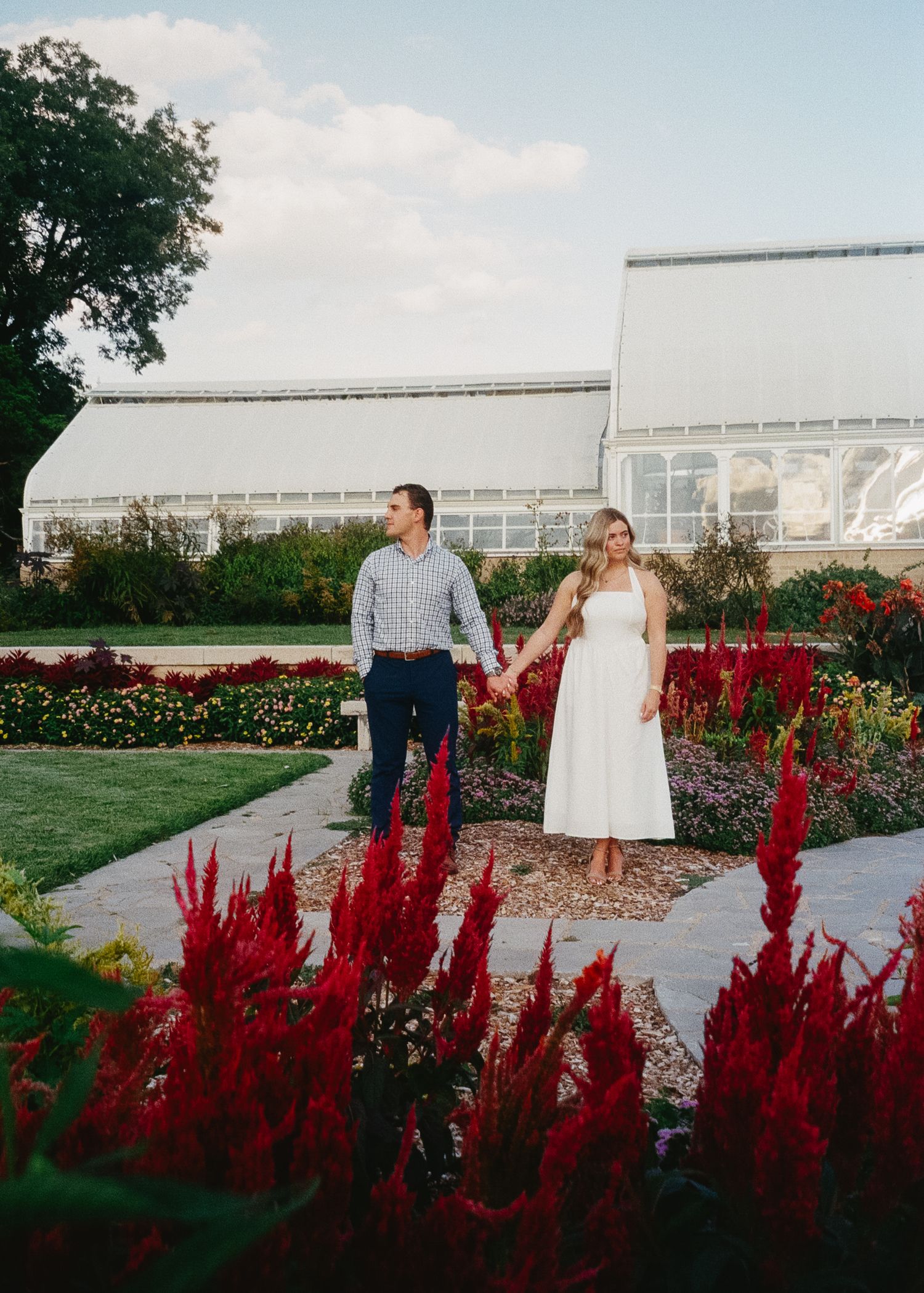 A couple walks through a garden with vibrant red celosia flowers and white greenhouse buildings in the background.