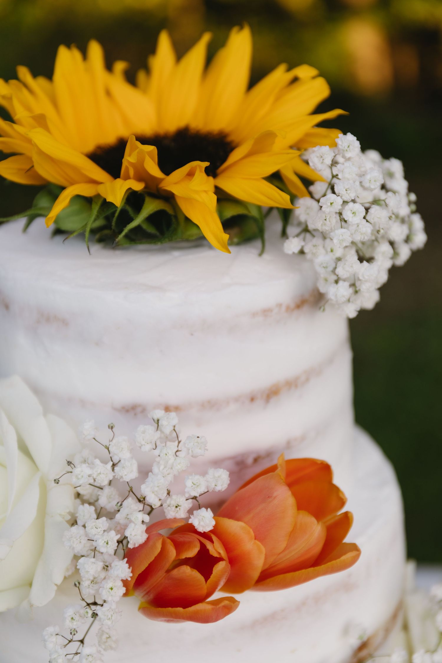 A rustic wedding cake decorated with sunflowers, tulips and baby's breath flowers.