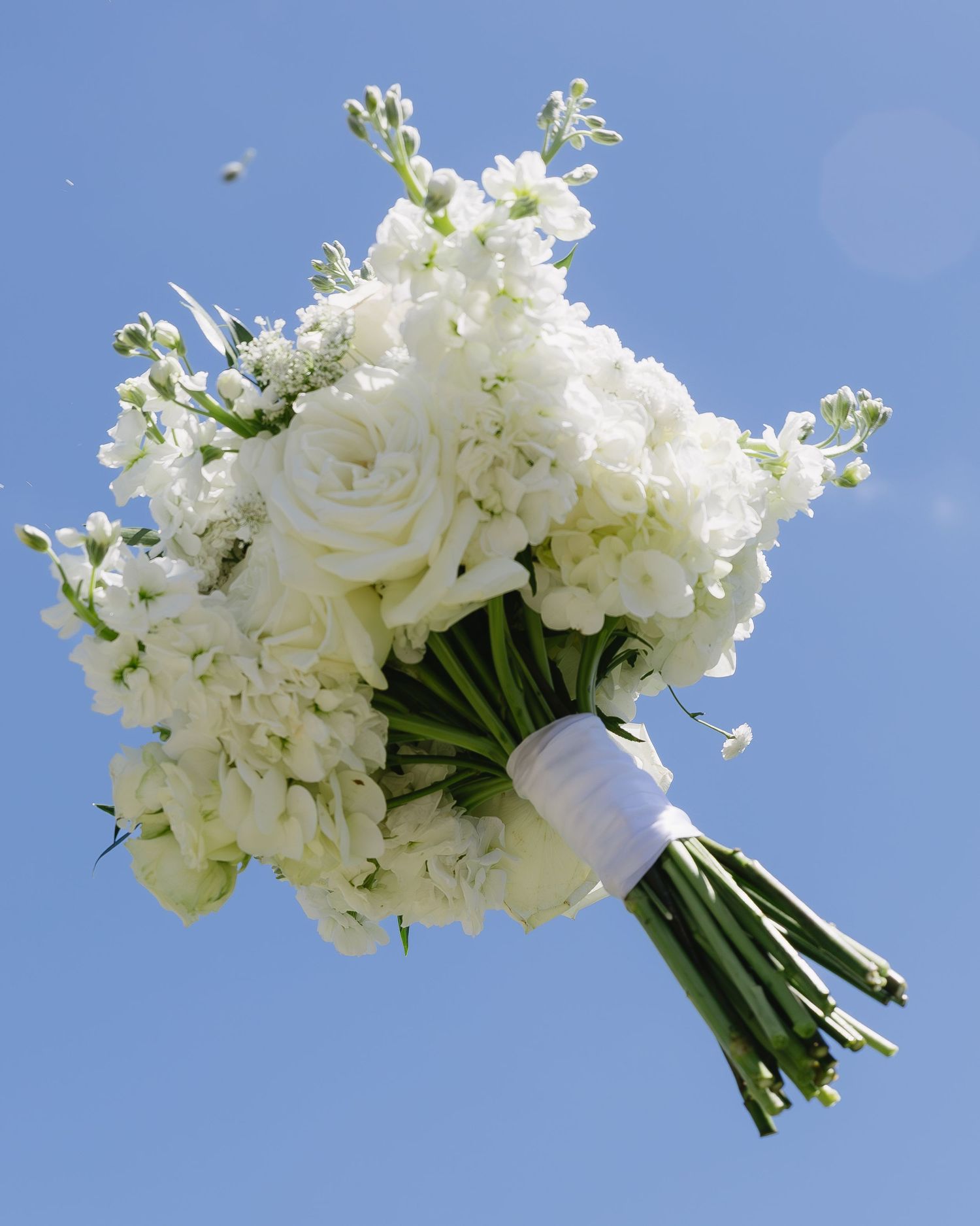 Elegant white bridal bouquet with roses and delicate floral stems elegantly photographed against a blue sky.