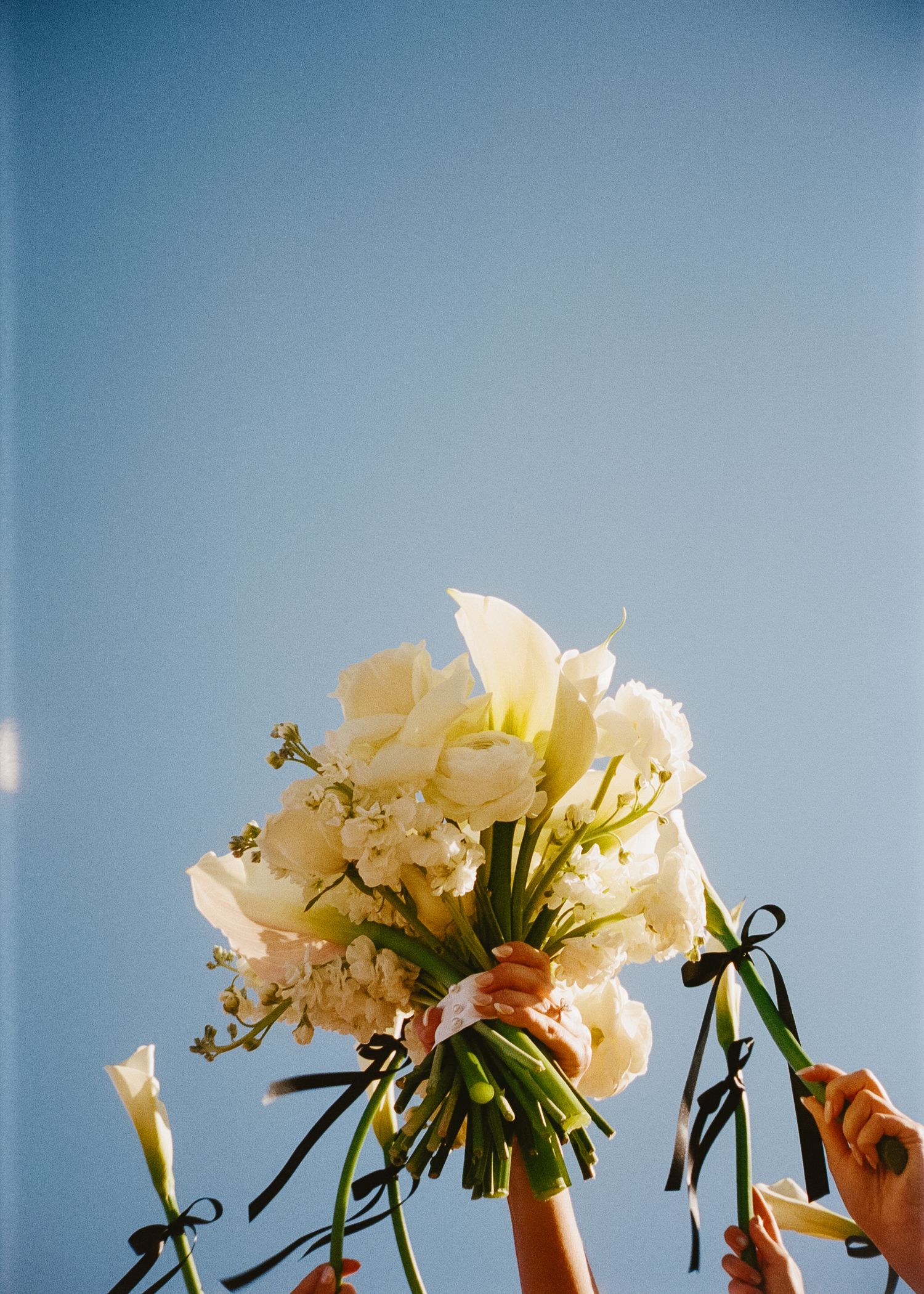 White floral arrangements with black ribbons against light blue wall at wedding.