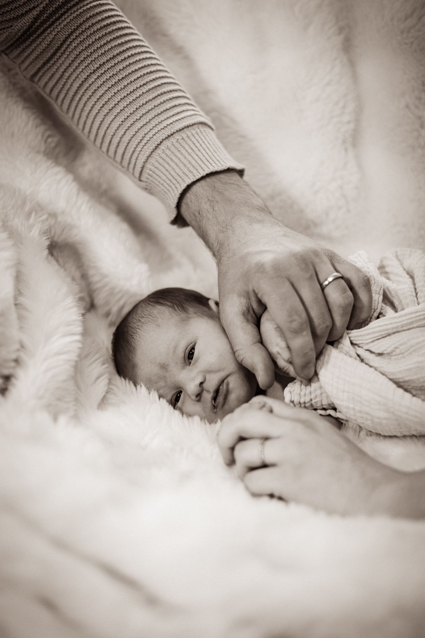 New born kuvaus. Lapsi ja vanhenpien kädet
